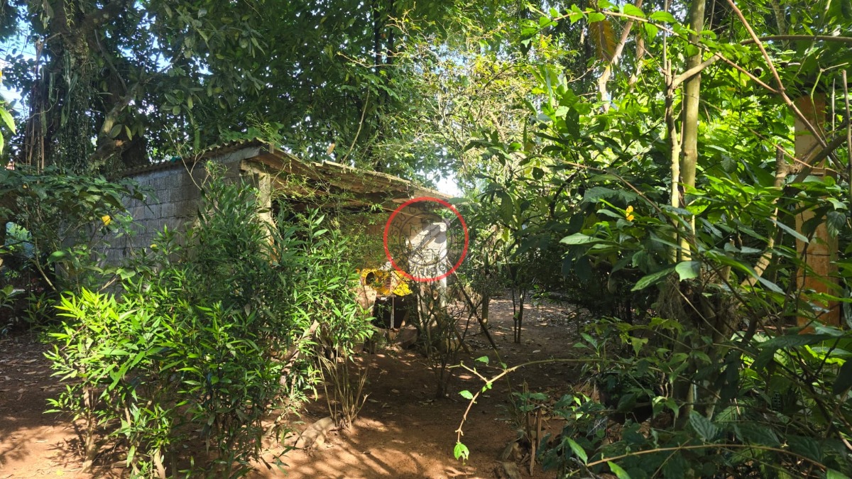 Terreno, 1094 m² - Foto 9