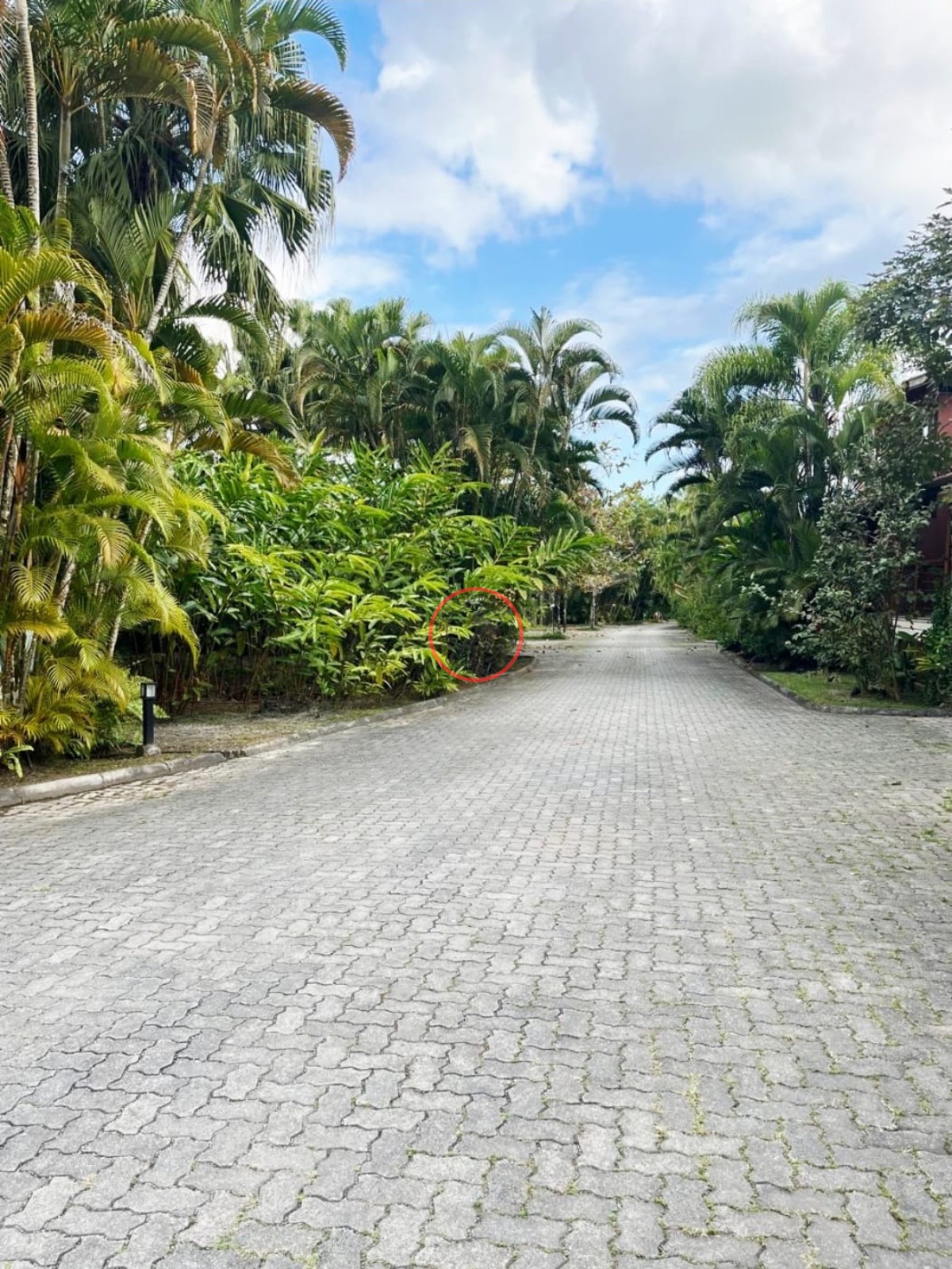 Casa de Condomínio, 5 quartos - Foto 43