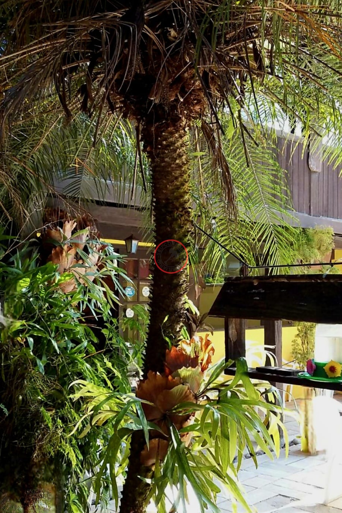 Prédio Inteiro, 1300 m² - Foto 52