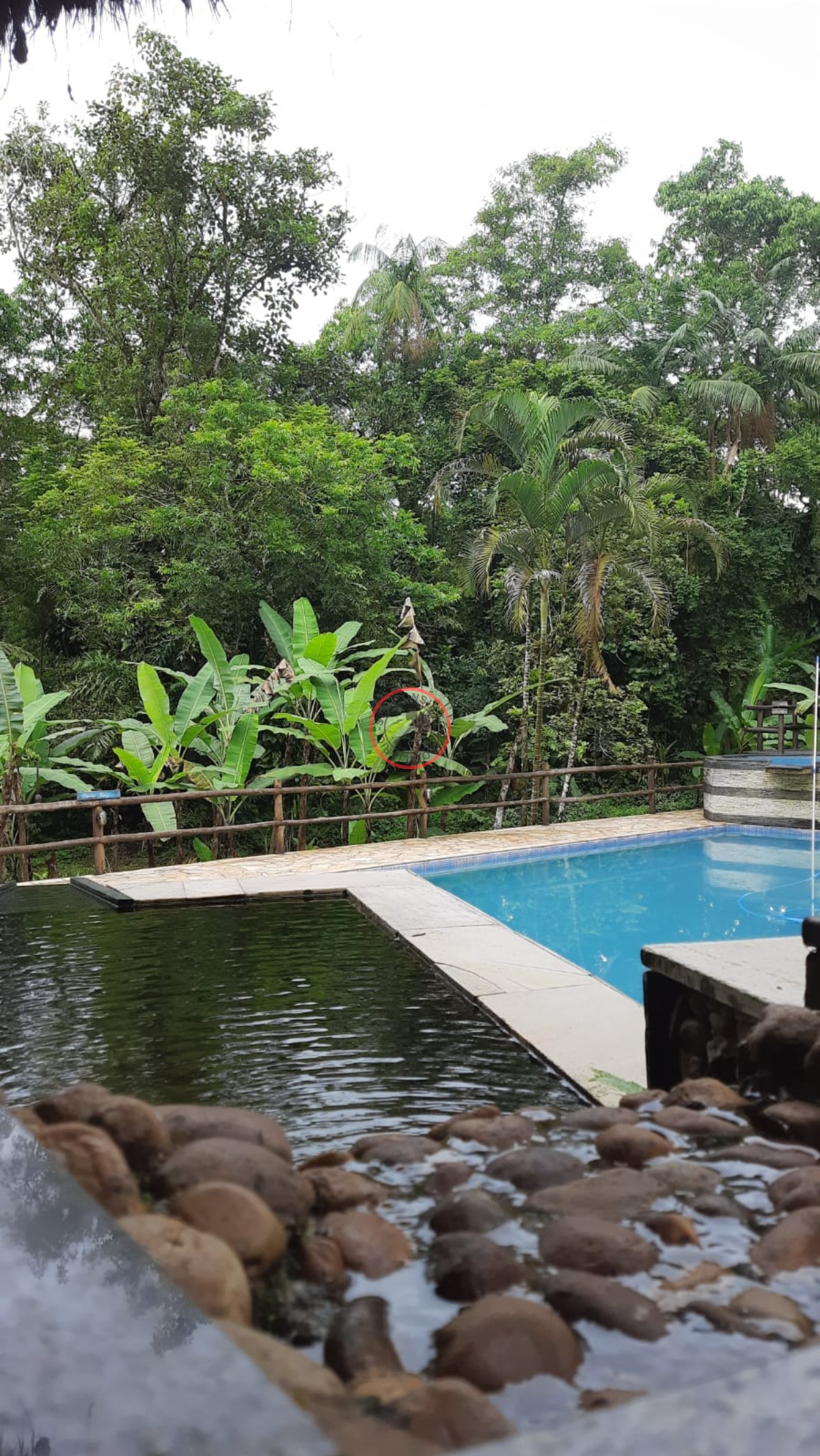 Casa, 6 quartos, 500 m² - Foto 36