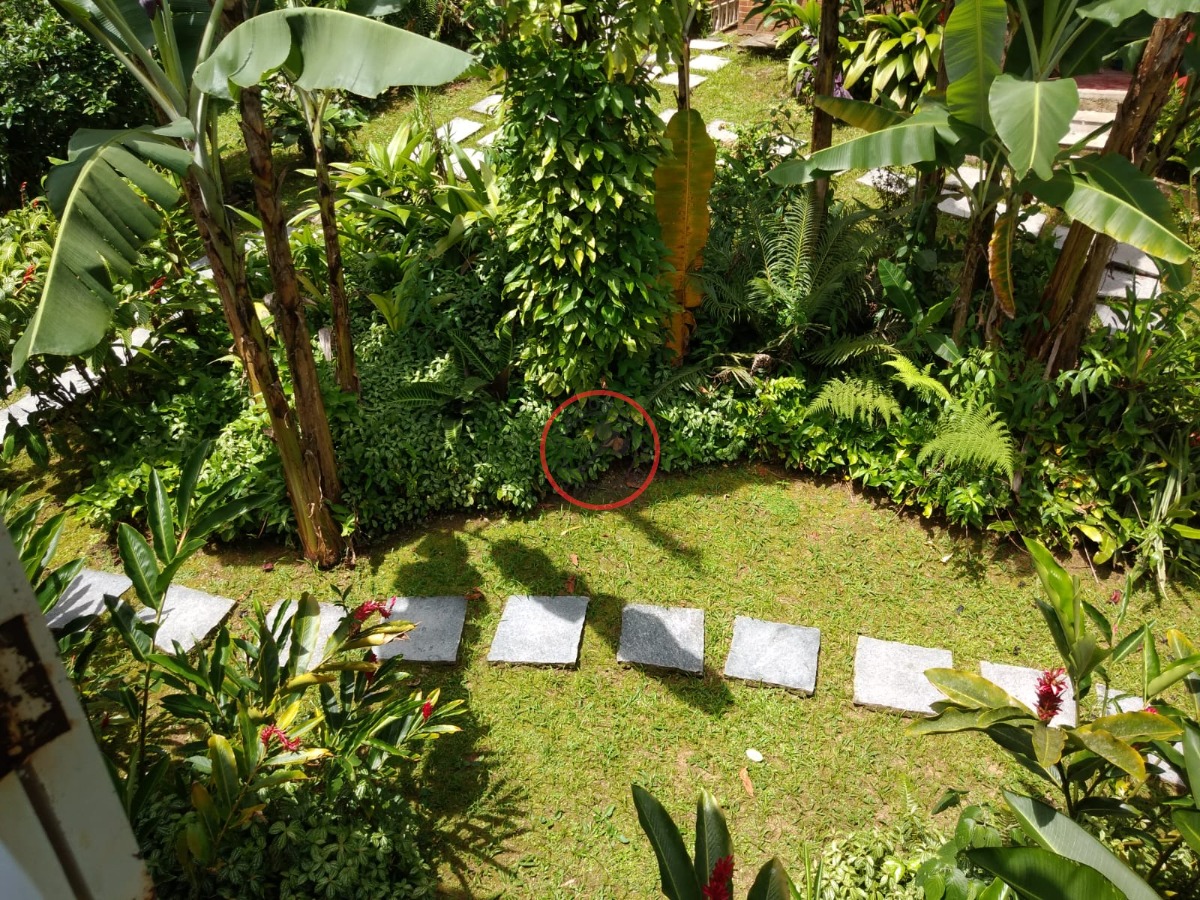 Casa, 6 quartos, 500 m² - Foto 50