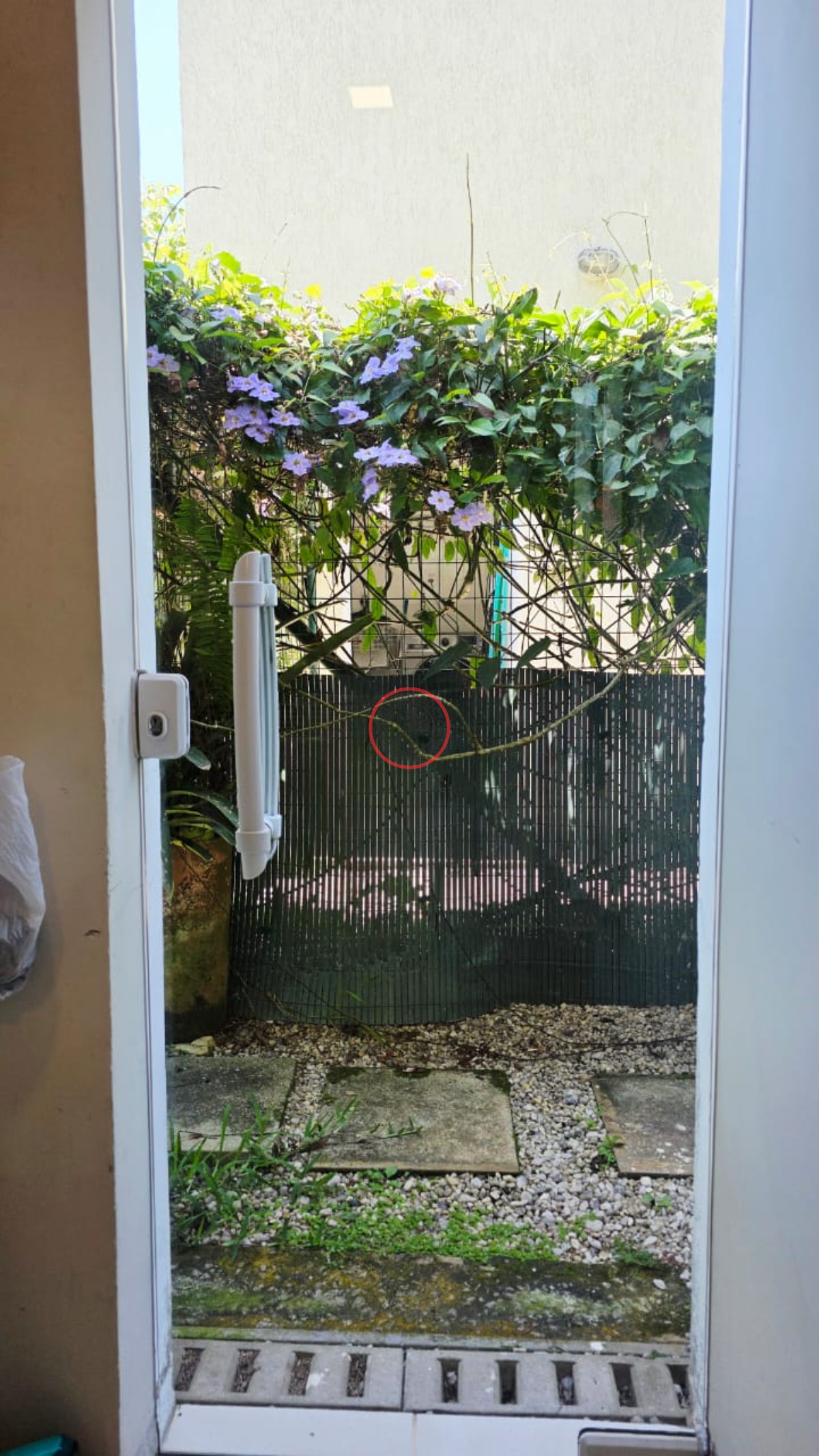 Casa, 3 quartos, 250 m² - Foto 42