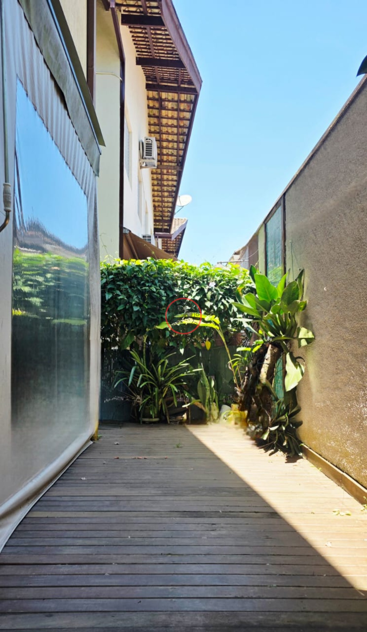 Casa, 3 quartos, 250 m² - Foto 44