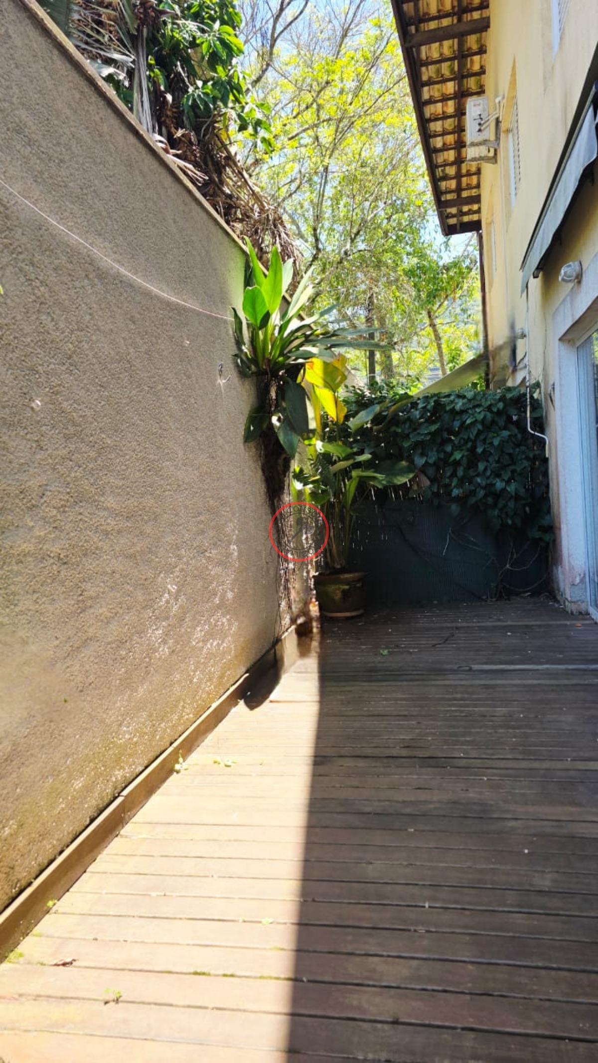 Casa, 3 quartos, 250 m² - Foto 45