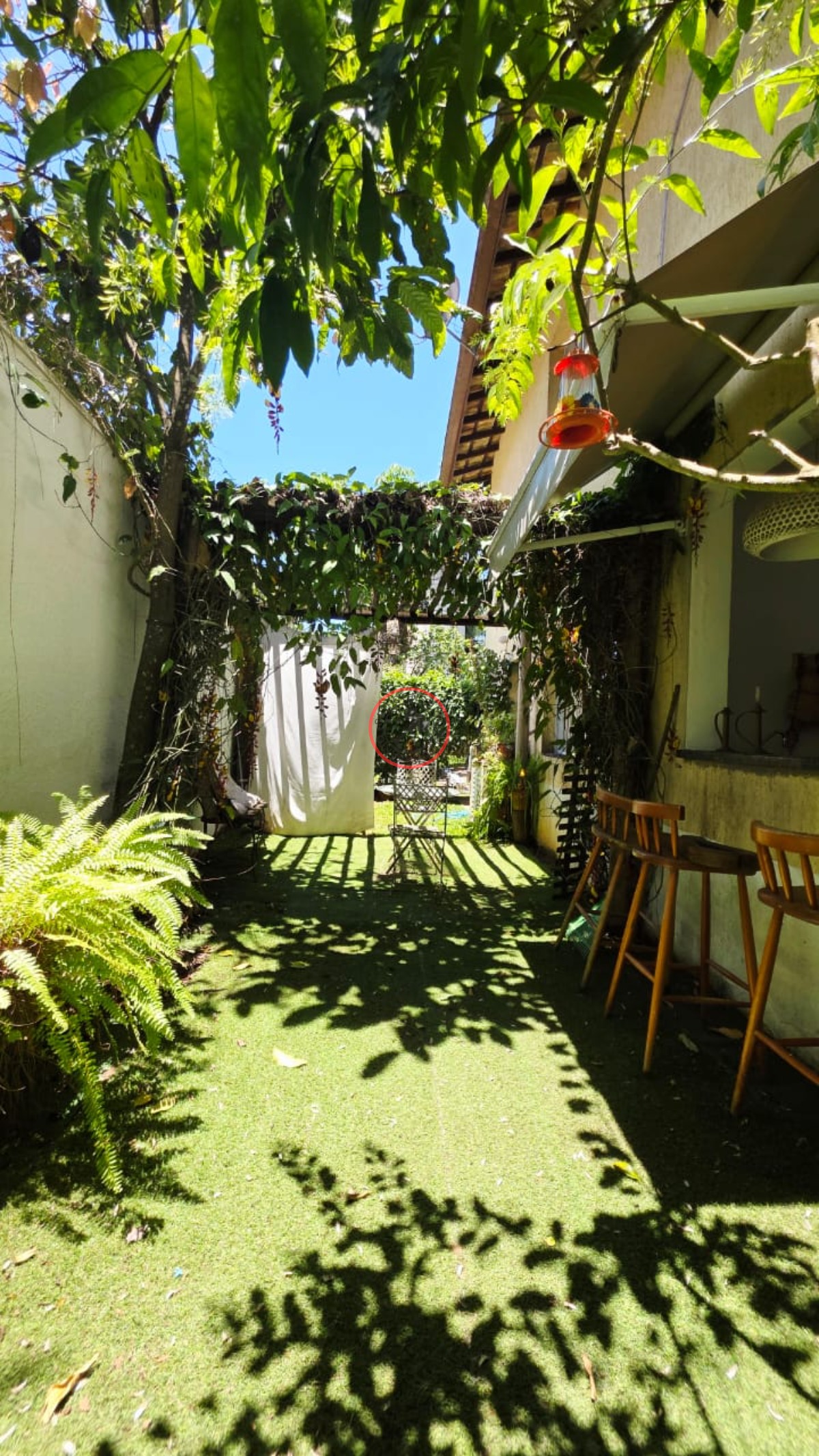 Casa, 3 quartos, 250 m² - Foto 42