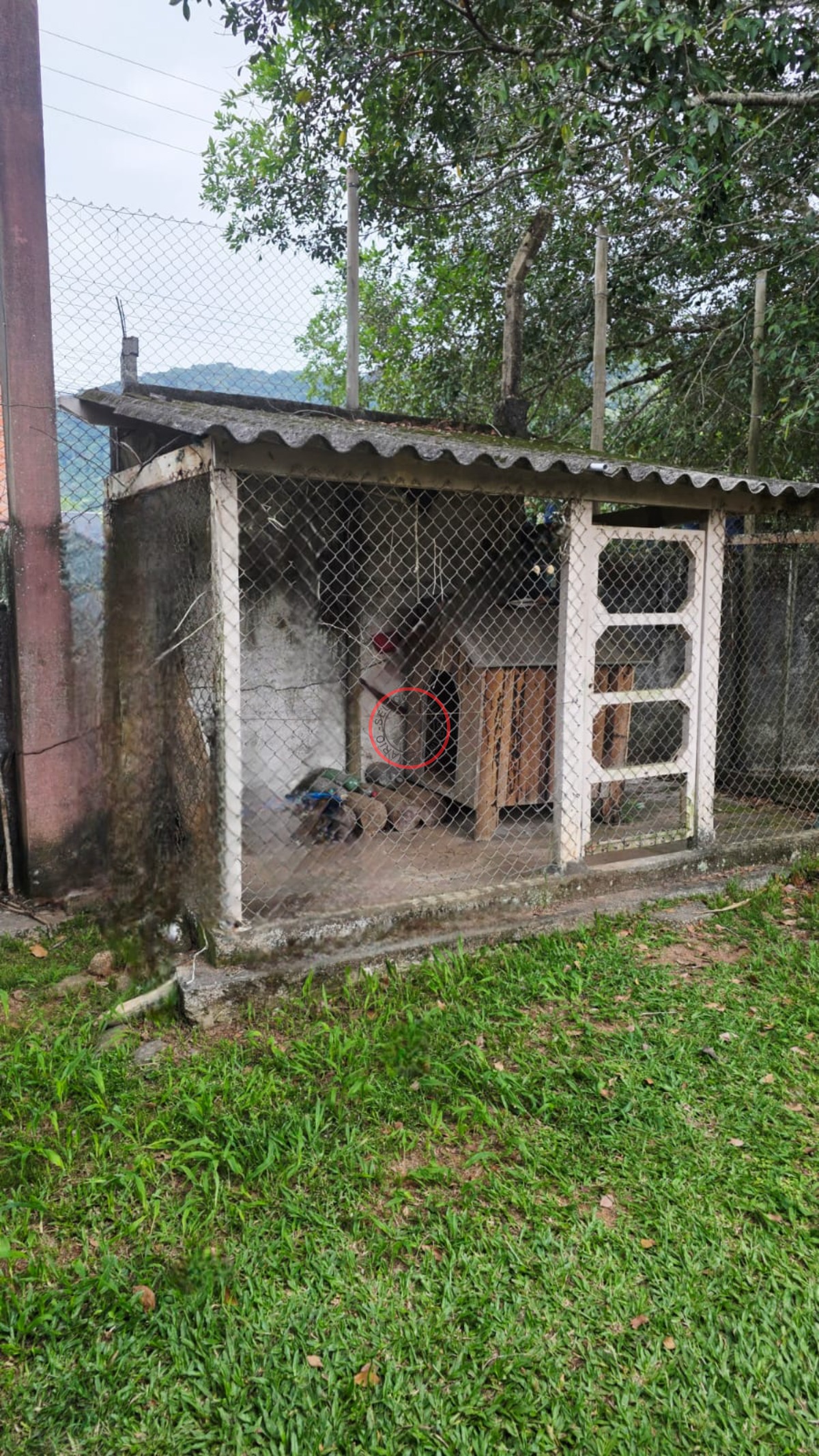 Casa, 3 quartos, 193 m² - Foto 36