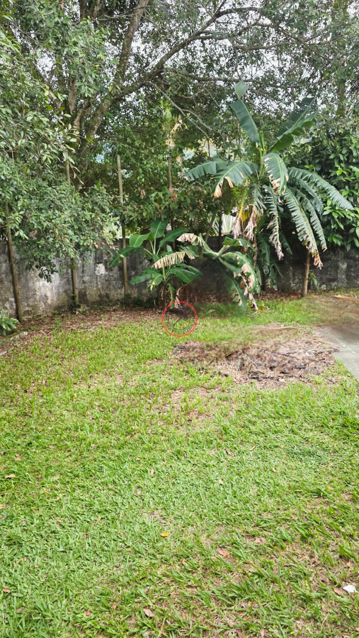 Casa, 3 quartos, 193 m² - Foto 35