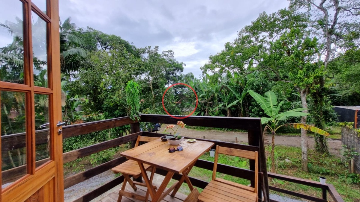 Casa, 4 quartos, 150 m² - Foto 30