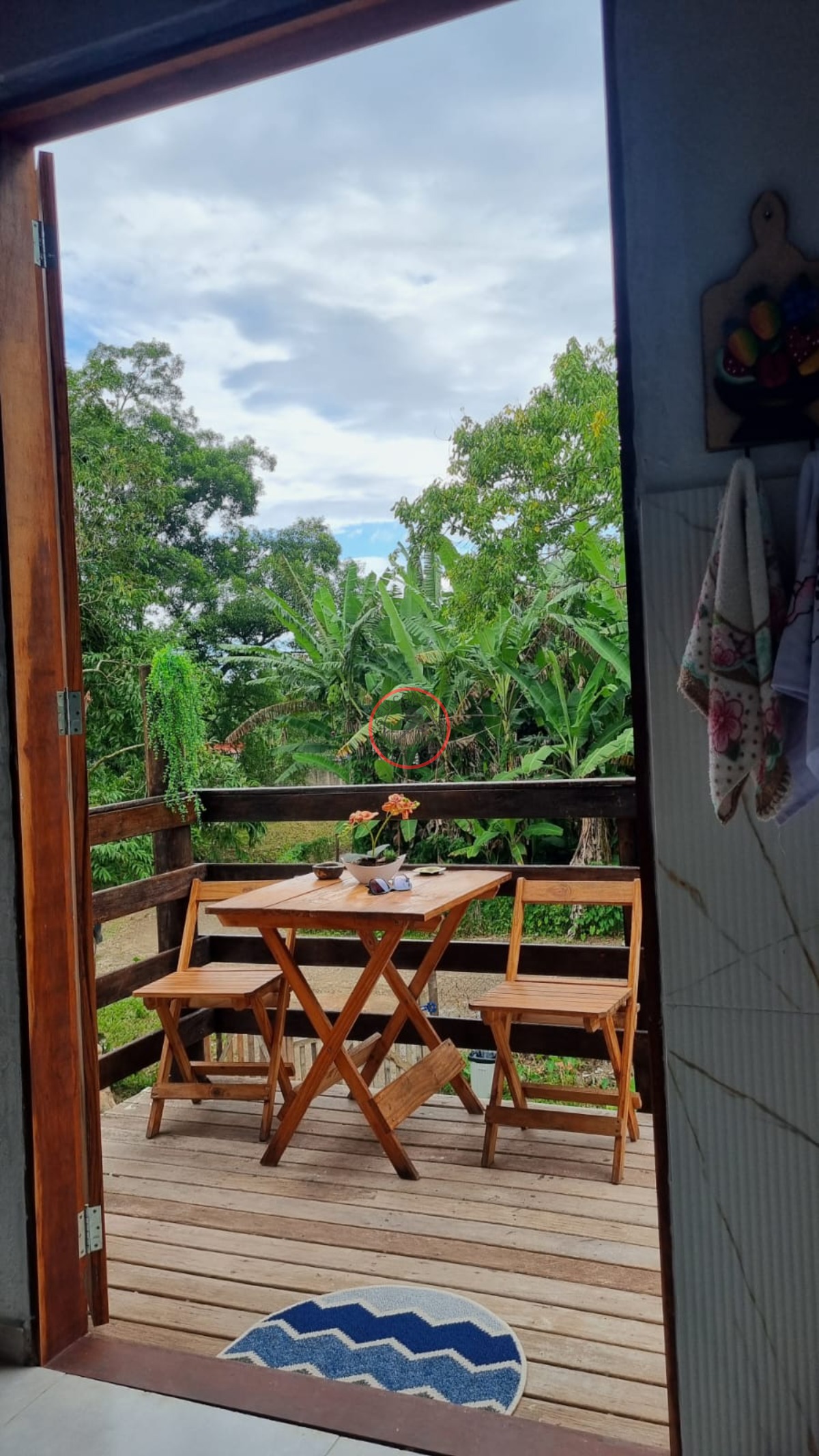 Casa, 4 quartos, 150 m² - Foto 14