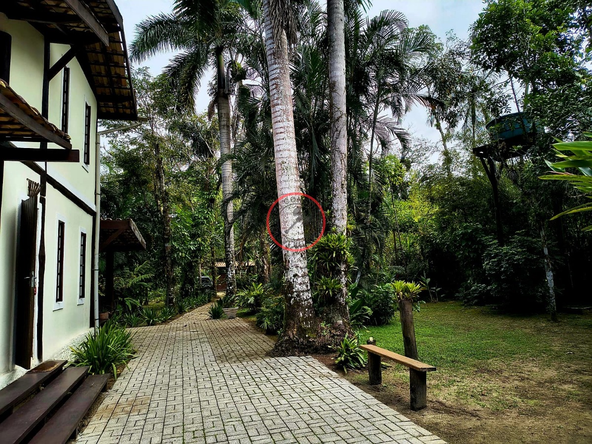 Casa, 3 quartos, 295 m² - Foto 41