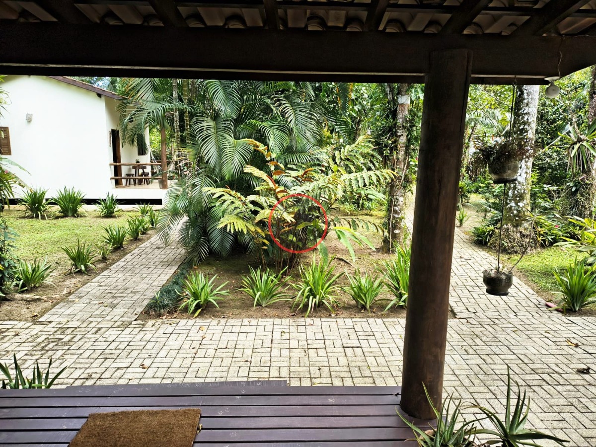 Casa, 3 quartos, 295 m² - Foto 5