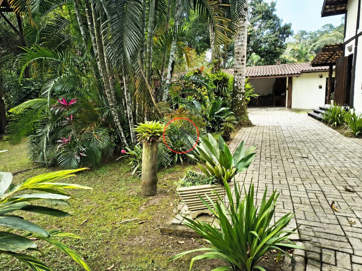 Casa, 3 quartos, 295 m² - Foto 45