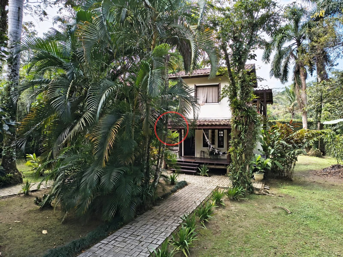 Casa, 3 quartos, 295 m² - Foto 40