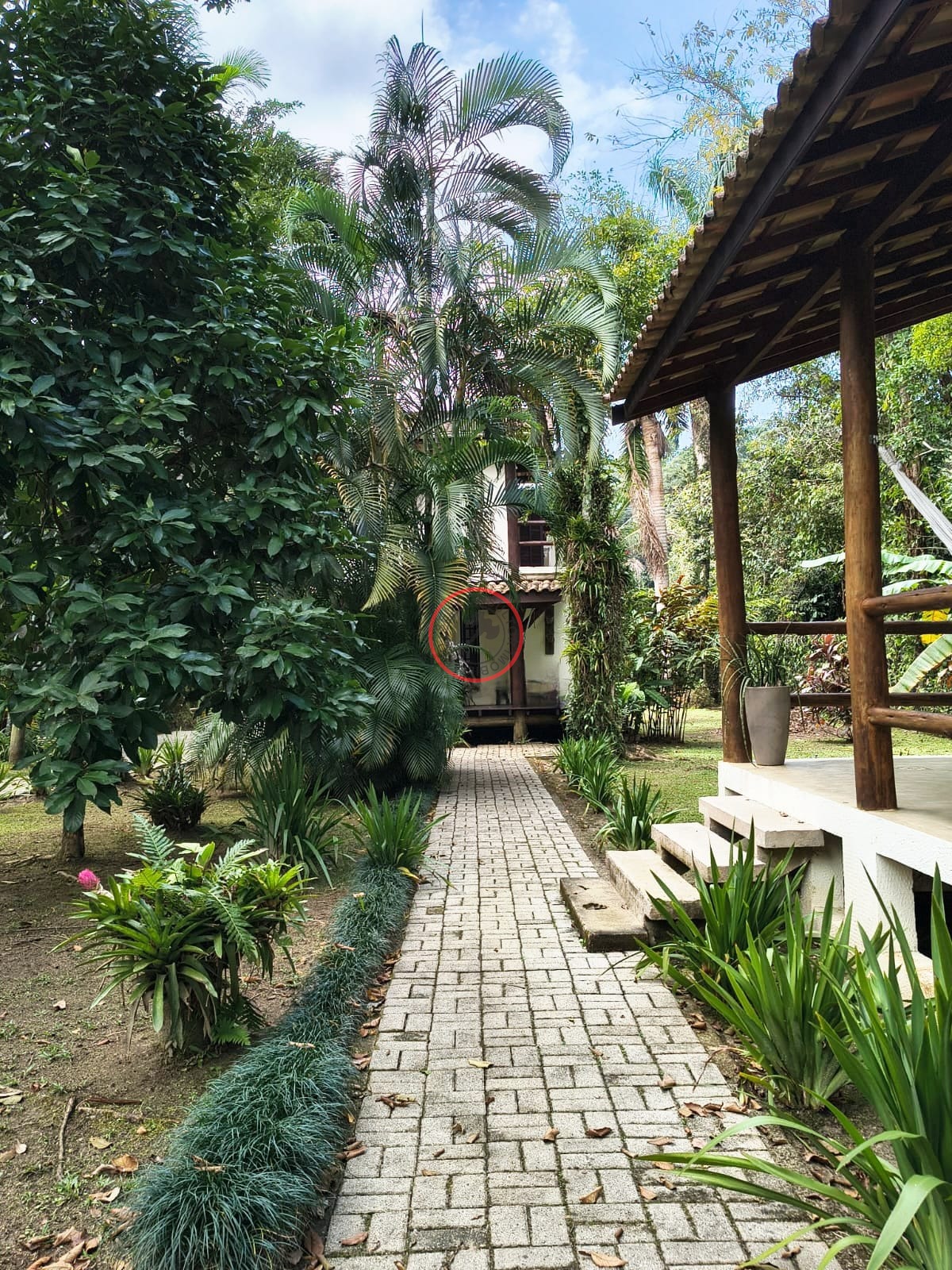 Casa, 3 quartos, 295 m² - Foto 39