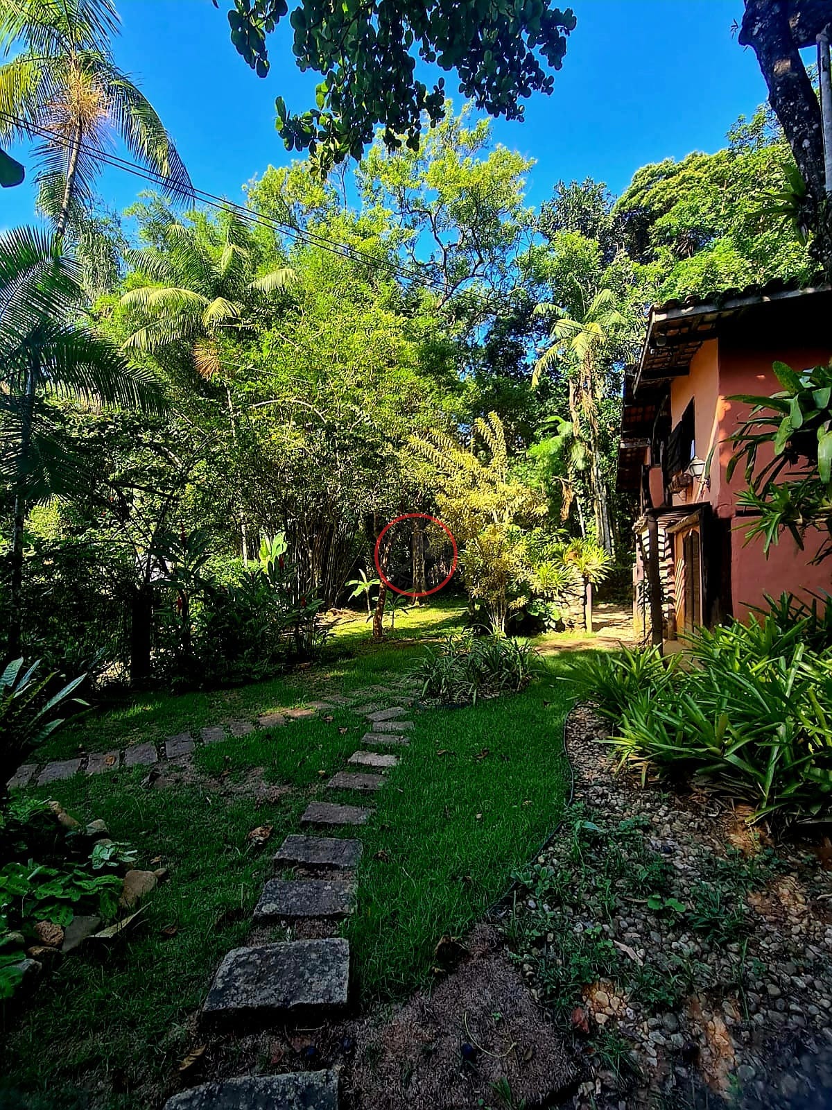 Casa, 3 quartos, 3000 m² - Foto 50