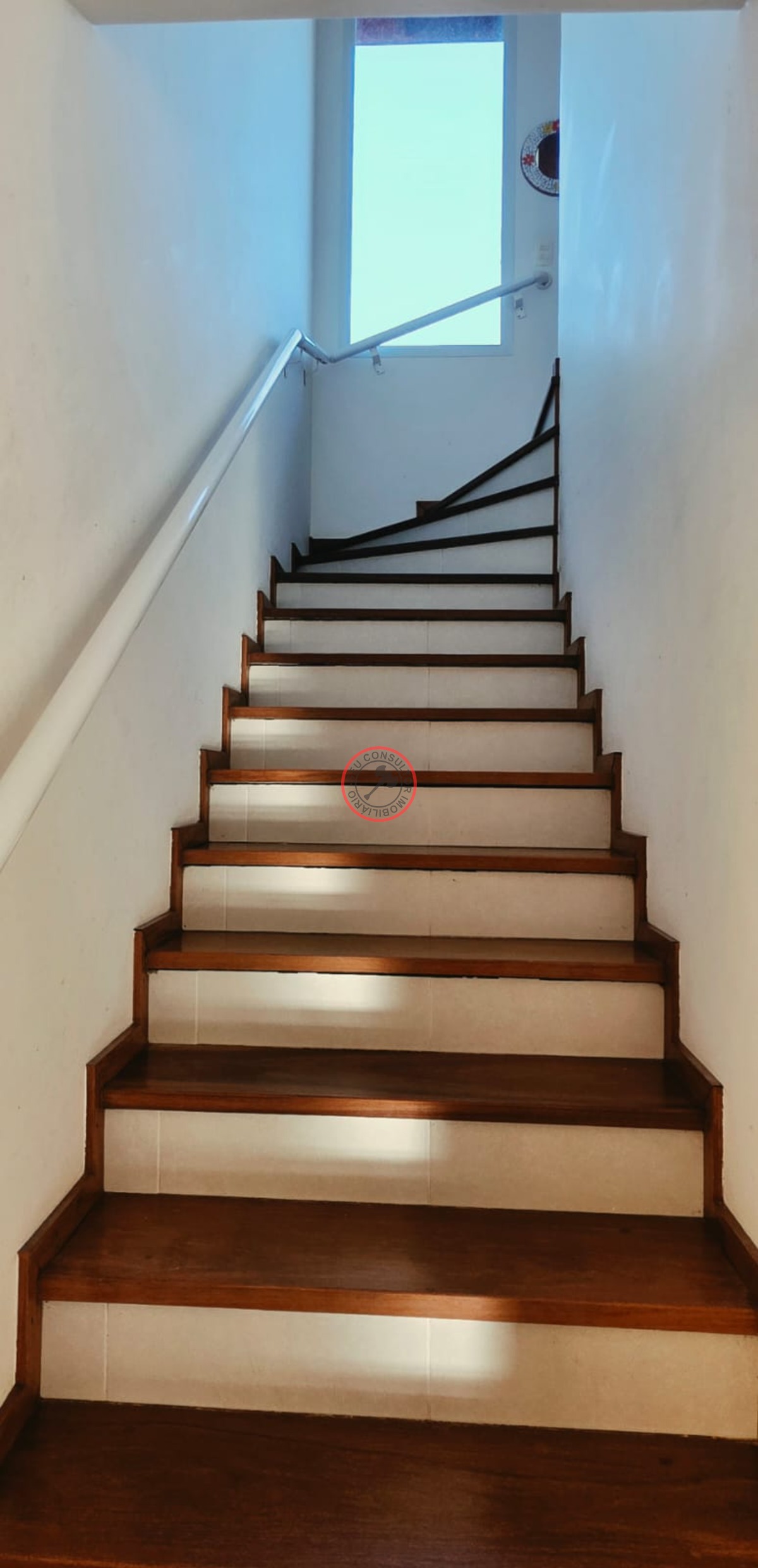 Casa, 4 quartos, 241 m² - Foto 28