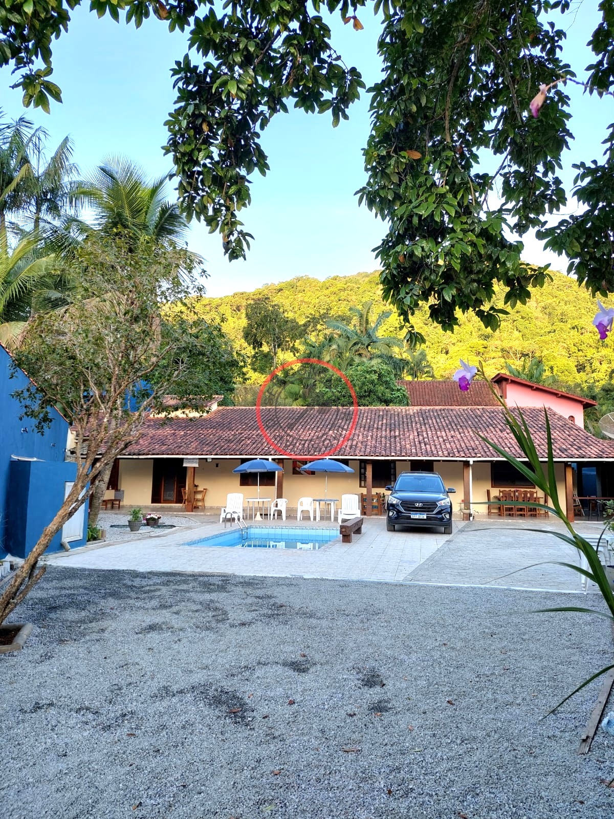 Casa, 4 quartos, 314 m² - Foto 29