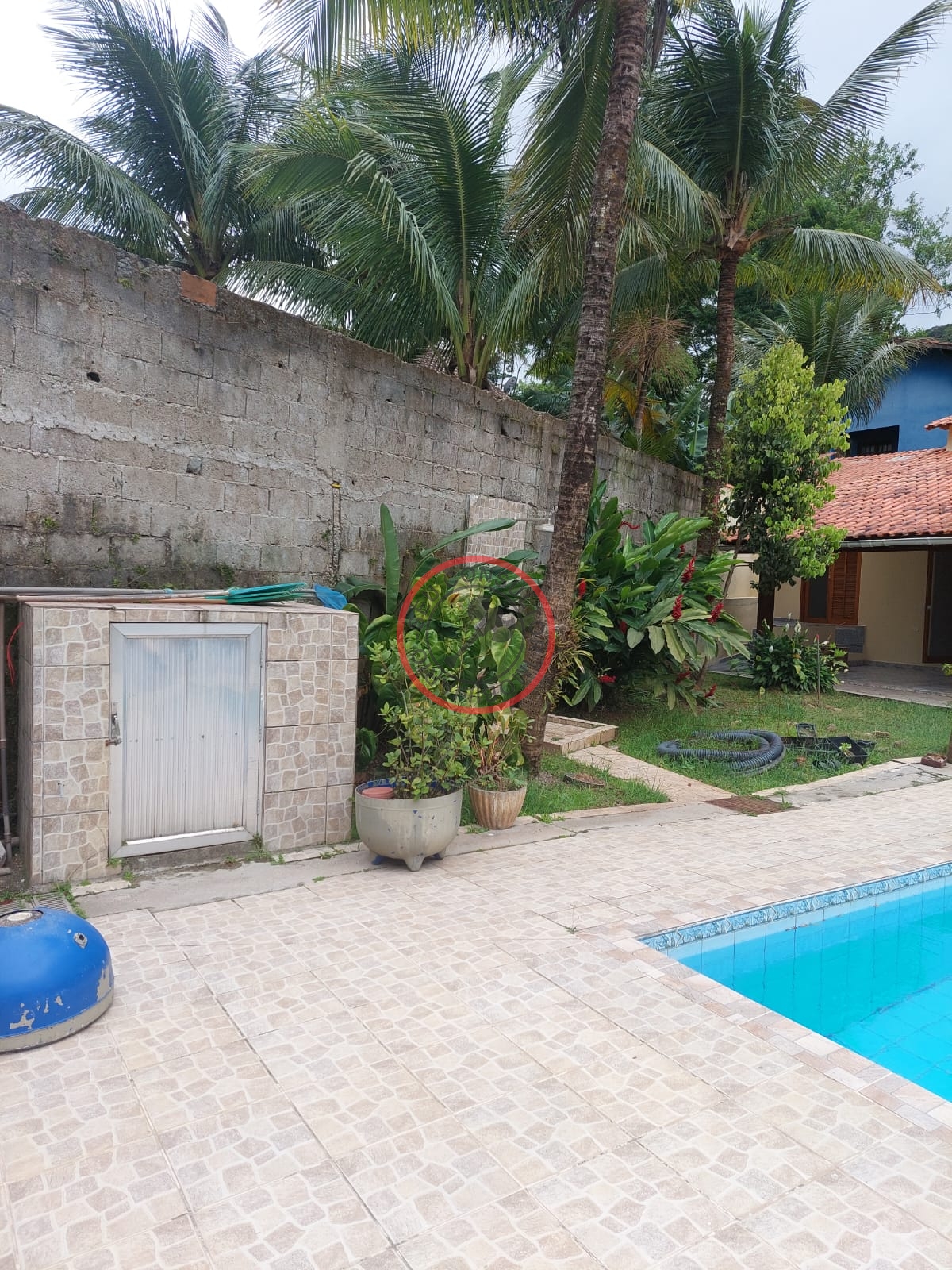 Casa, 4 quartos, 314 m² - Foto 19