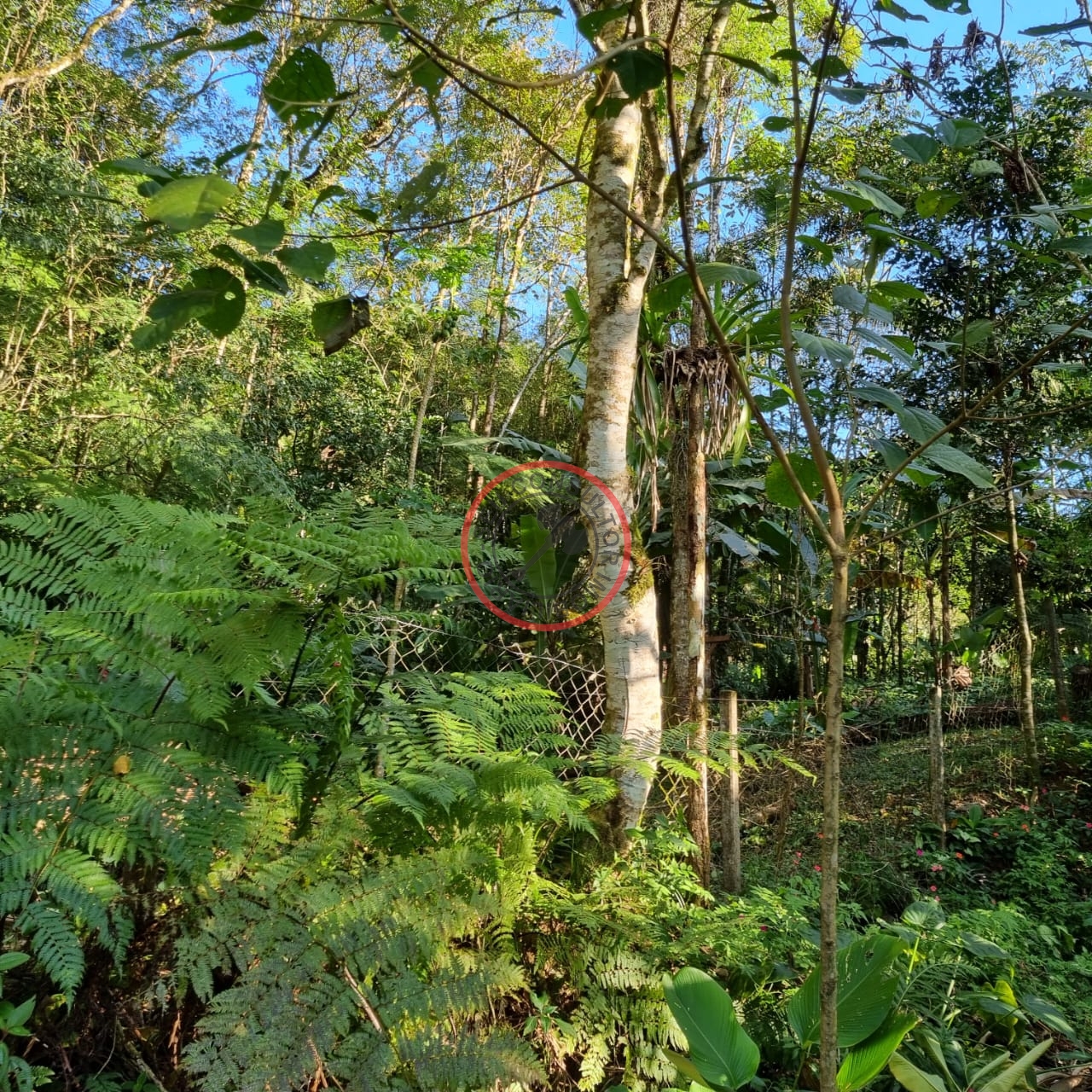 Terreno à venda, 400m² - Foto 17