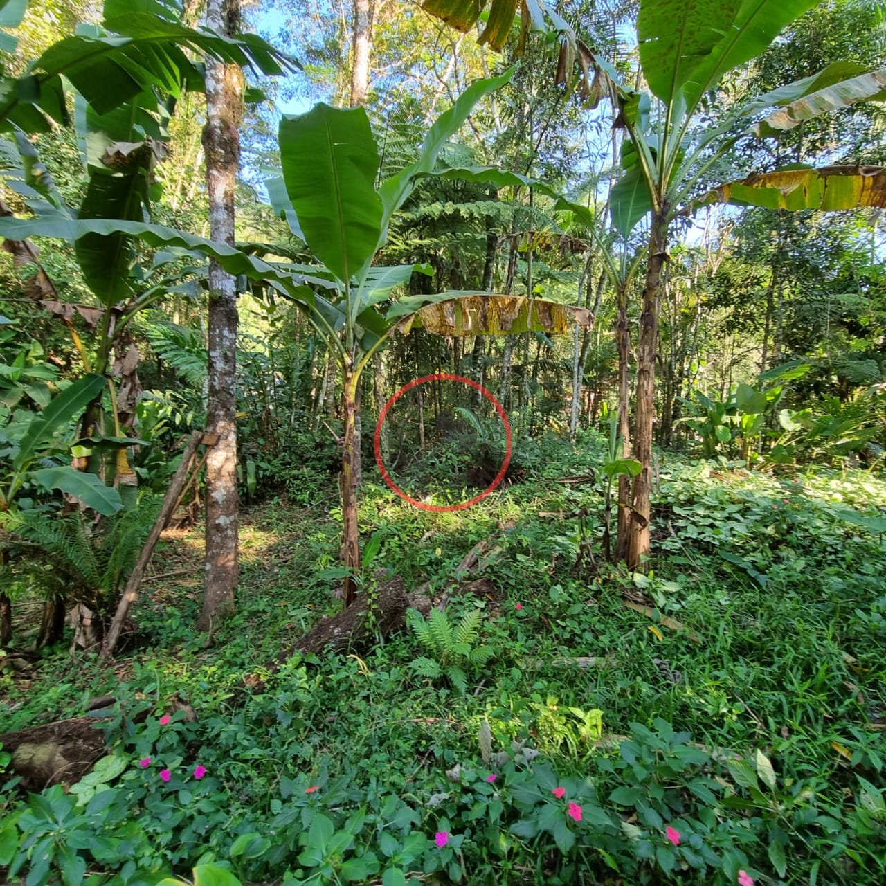 Terreno à venda, 400m² - Foto 8