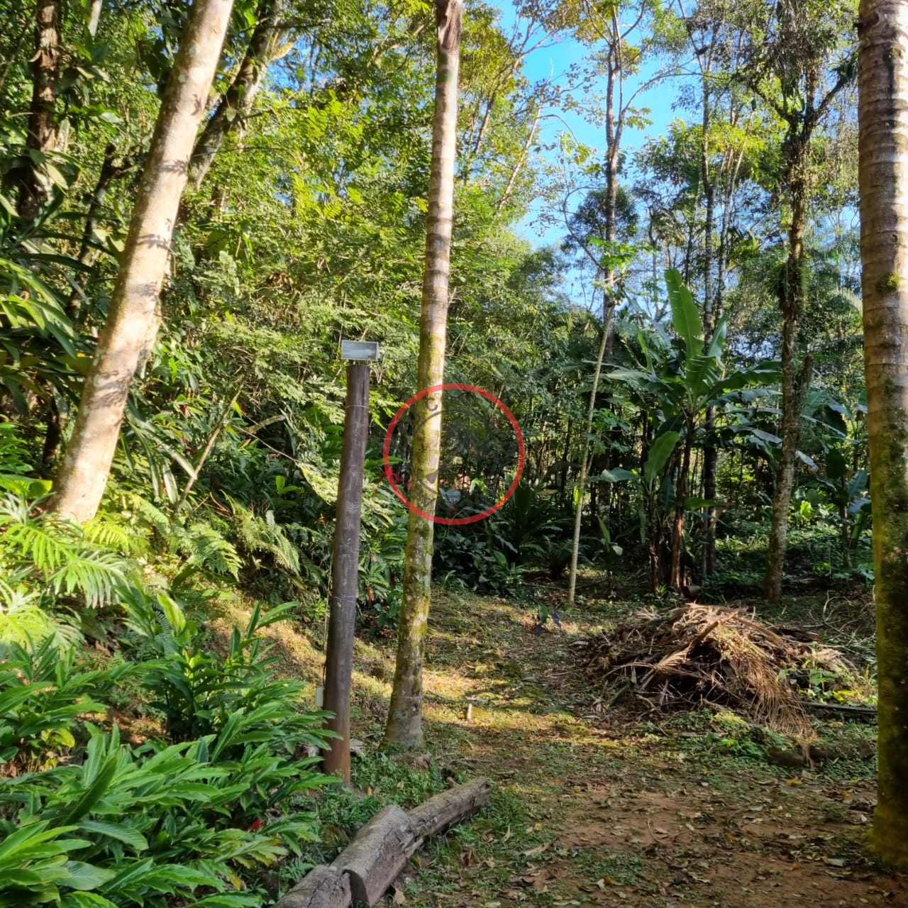 Terreno à venda, 400m² - Foto 19