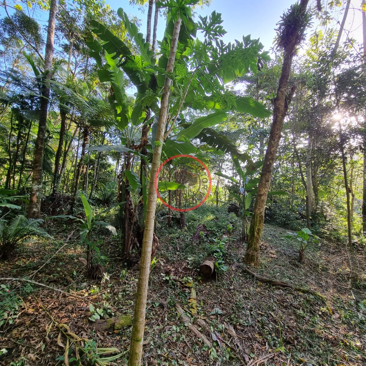Terreno à venda, 400m² - Foto 10