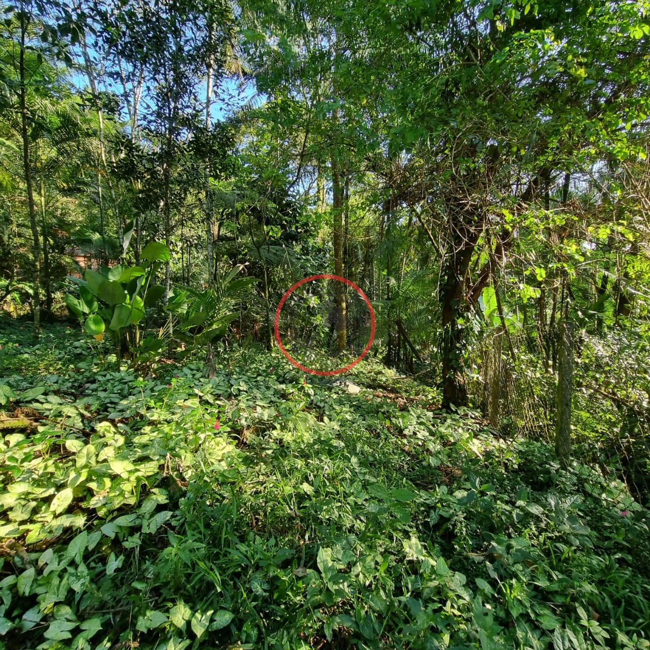 Terreno à venda, 400m² - Foto 9