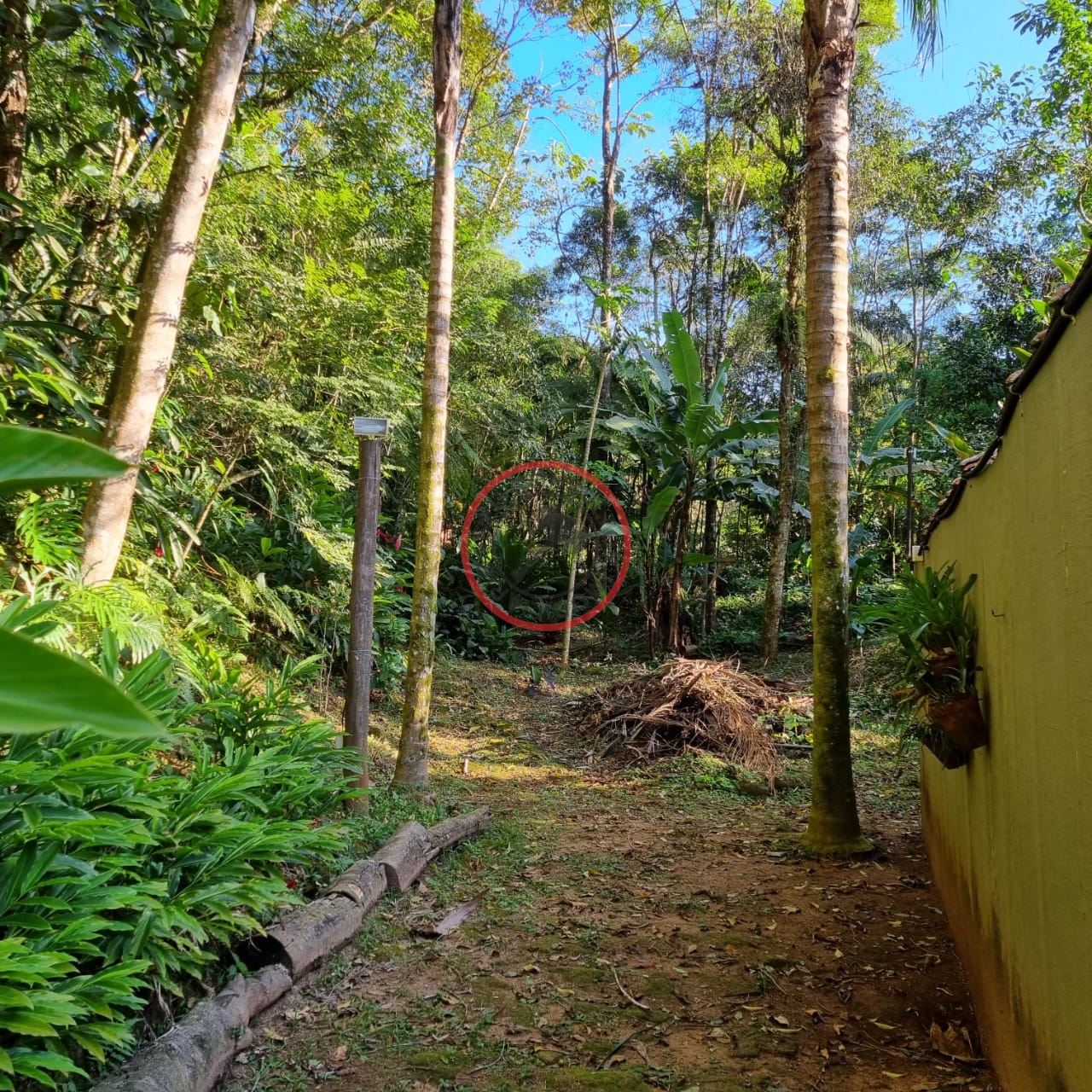 Terreno à venda, 400m² - Foto 1