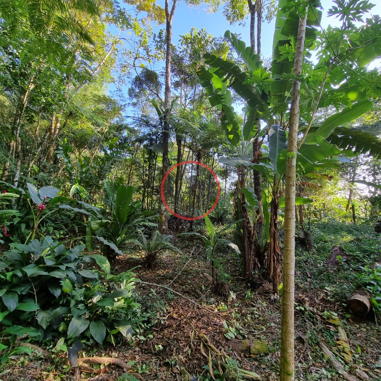 Terreno à venda, 400m² - Foto 11