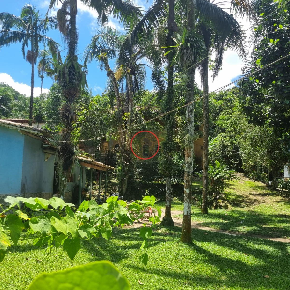 Casa, 6 quartos, 300 m² - Foto 24