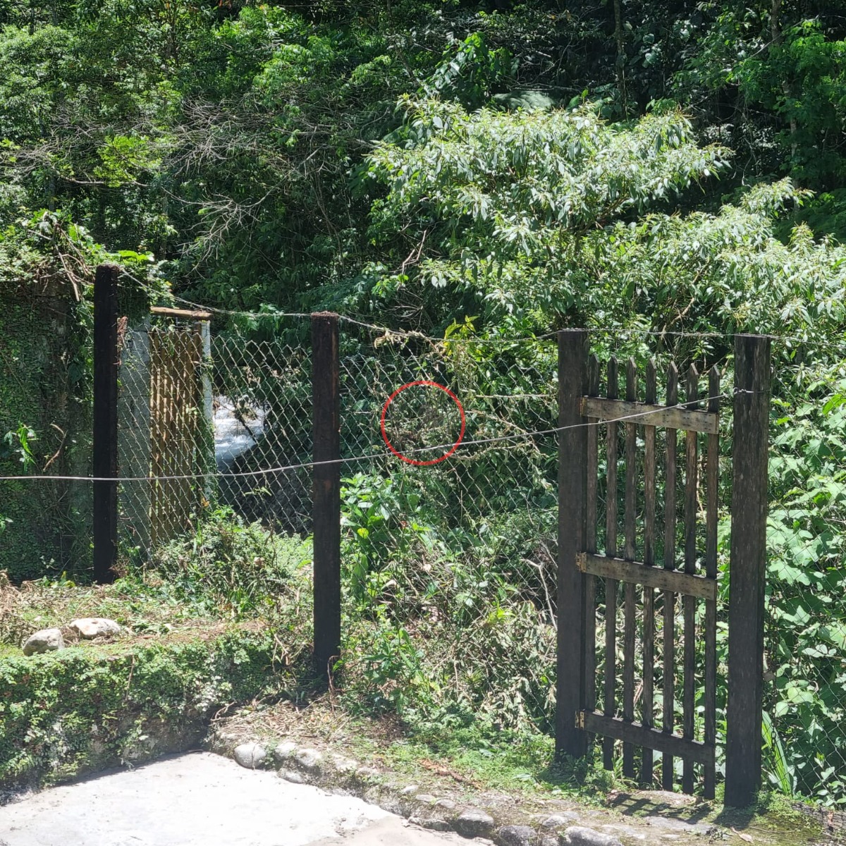 Casa, 6 quartos, 300 m² - Foto 16