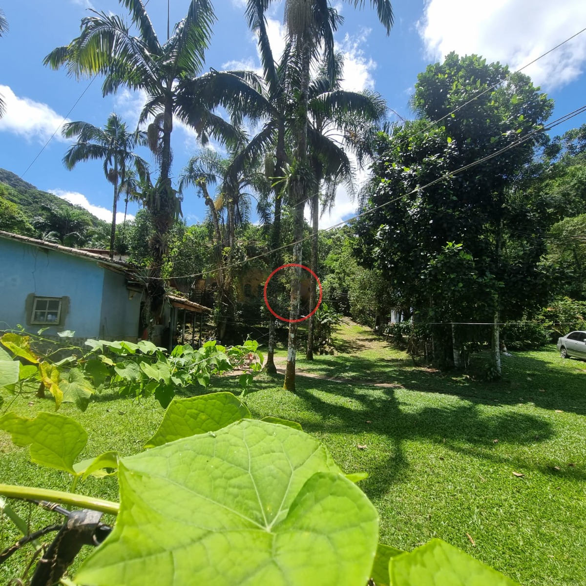 Casa, 6 quartos, 300 m² - Foto 25