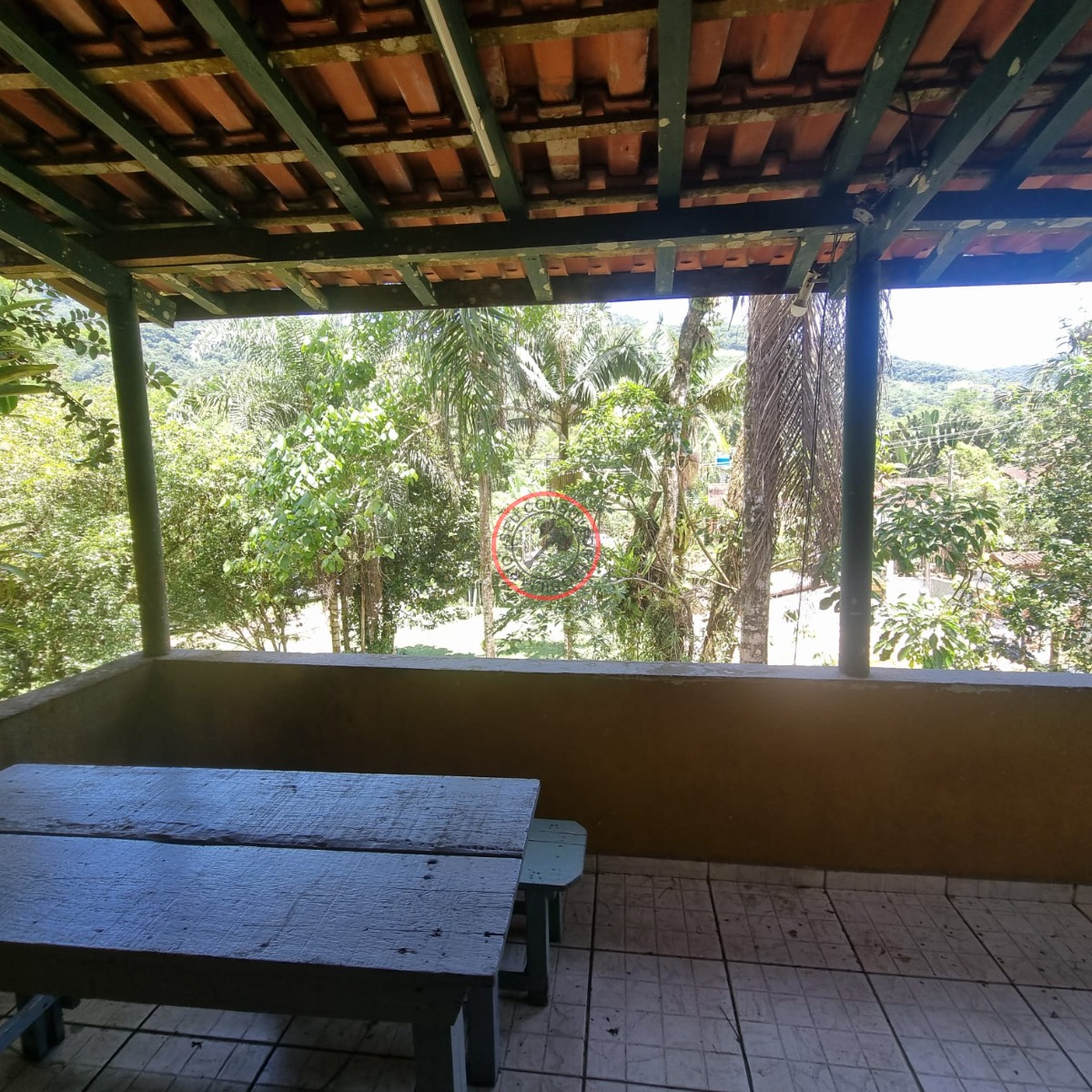 Casa, 6 quartos, 300 m² - Foto 35