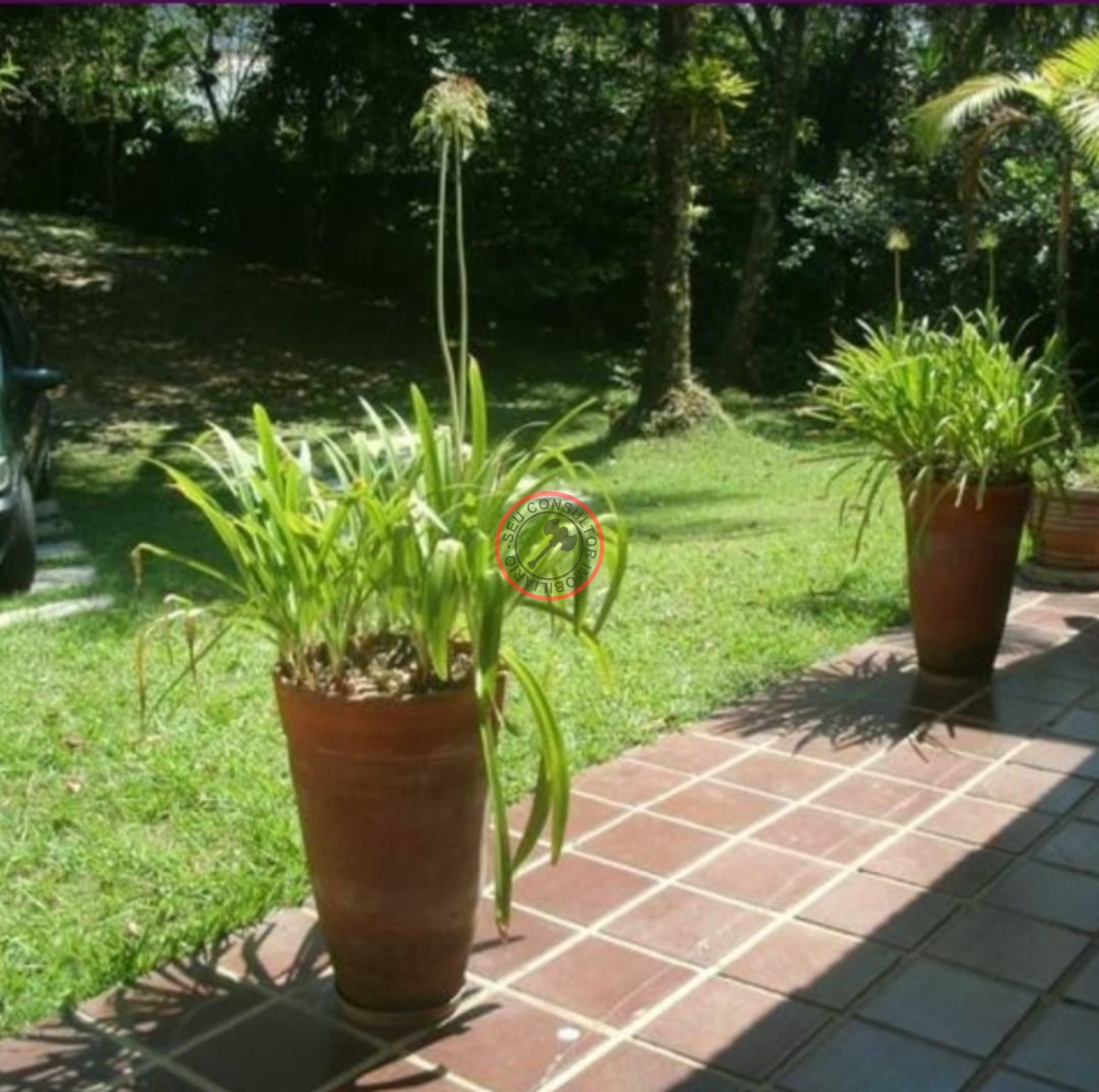 Casa, 5 quartos, 250 m² - Foto 27