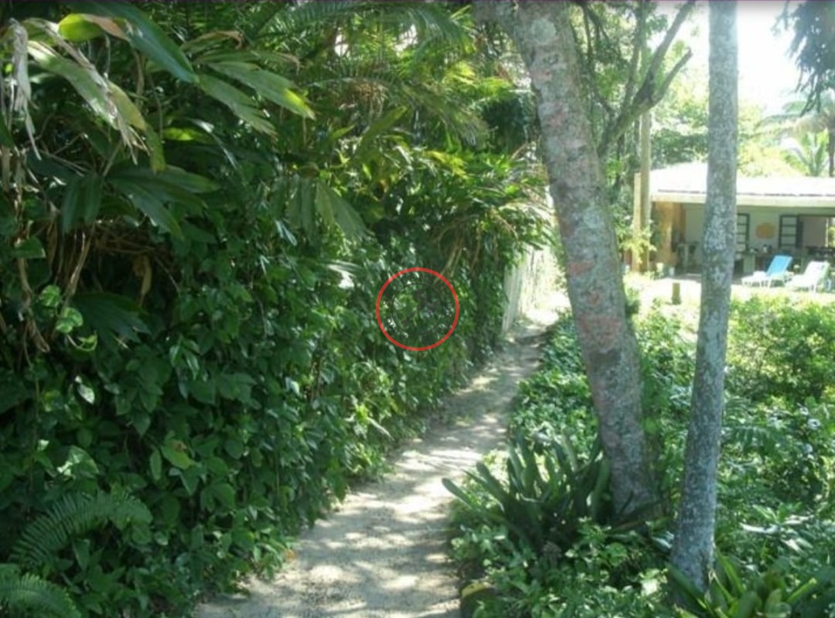 Casa, 5 quartos, 250 m² - Foto 8