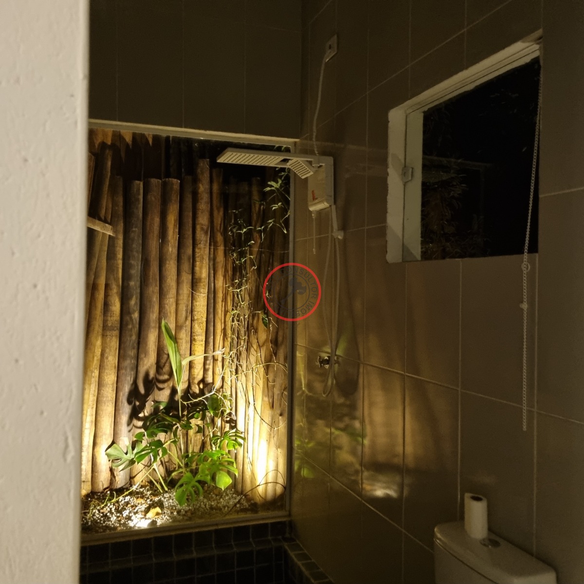 Casa, 3 quartos, 230 m² - Foto 32