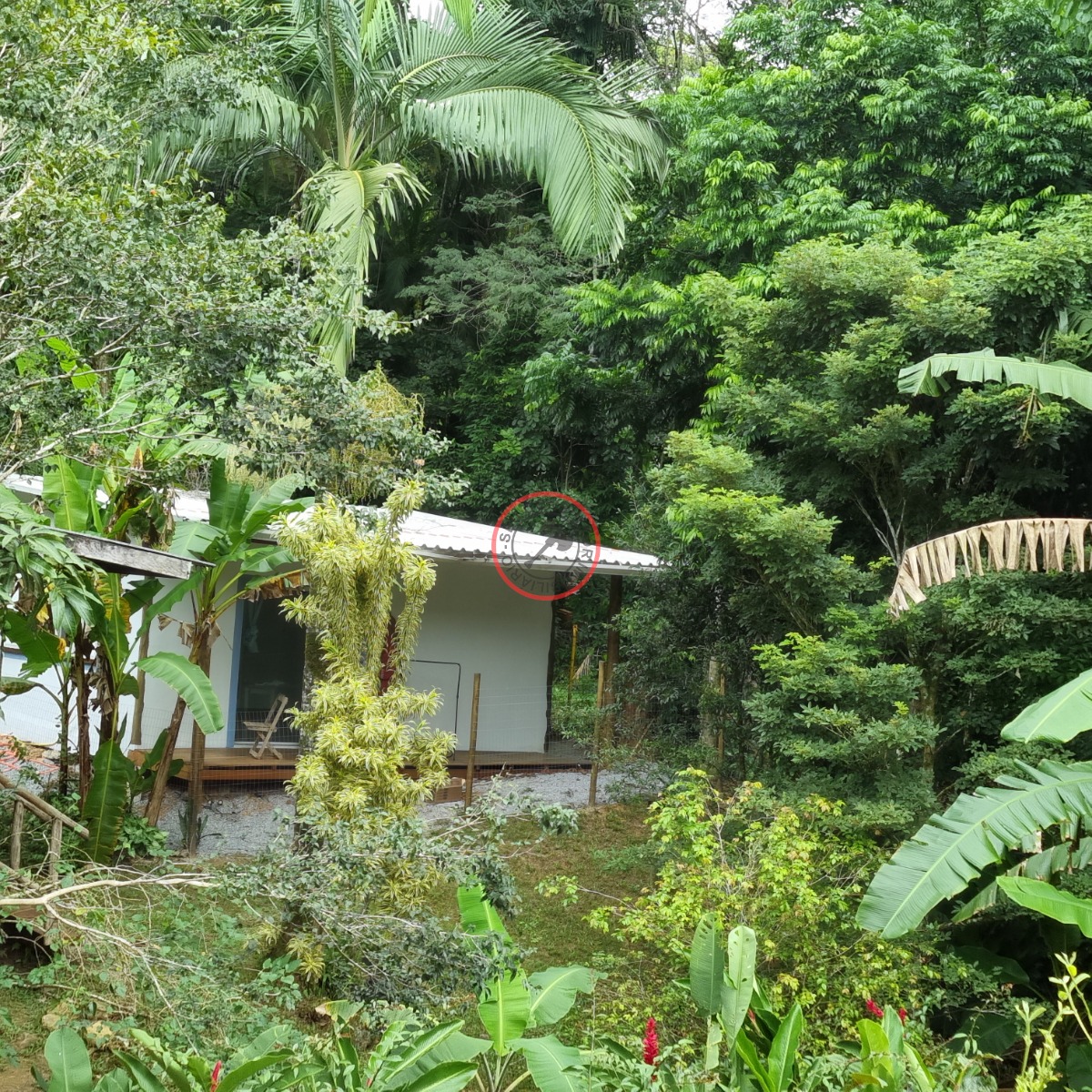 Casa, 3 quartos, 230 m² - Foto 18