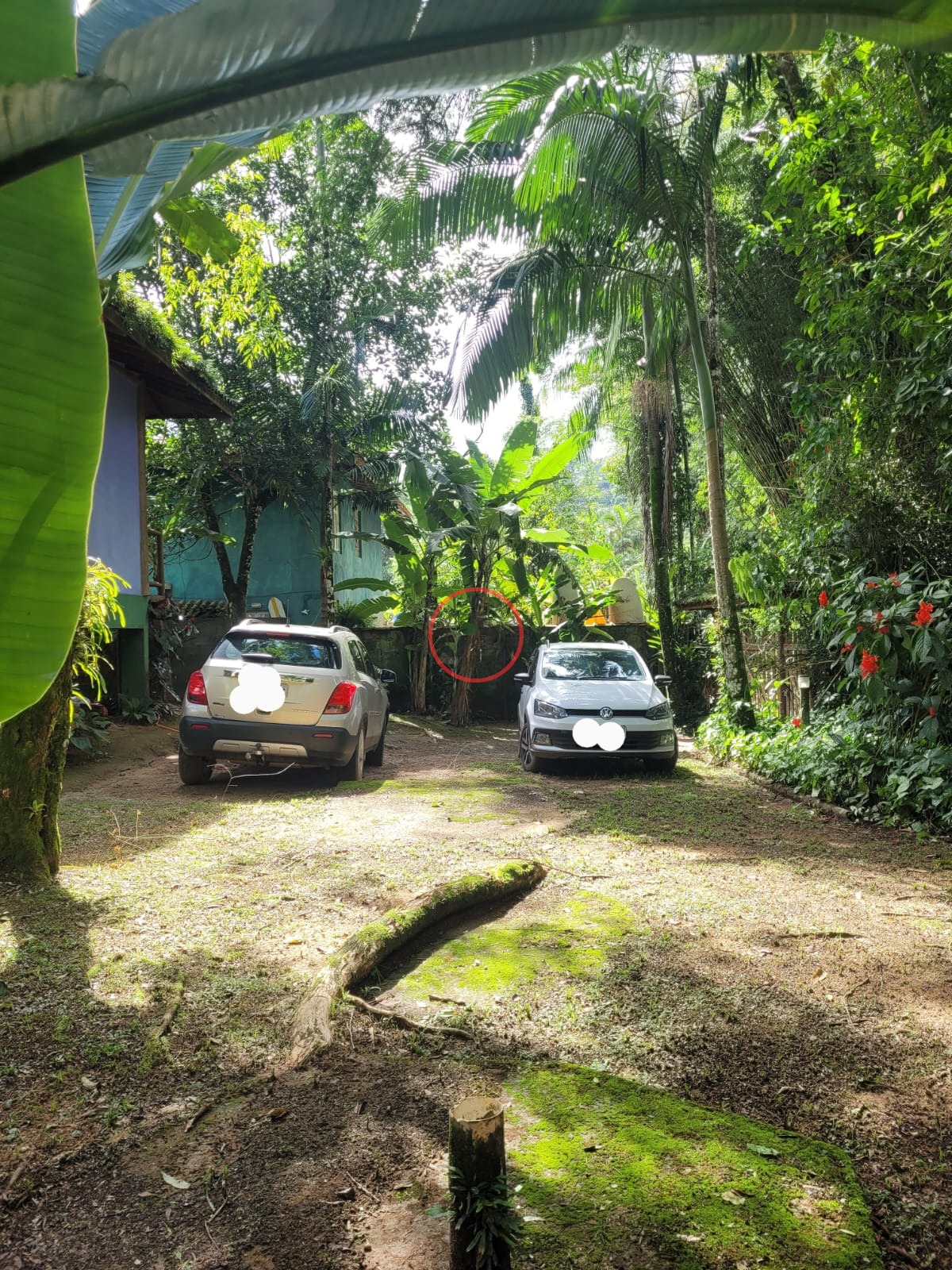 Casa, 3 quartos, 230 m² - Foto 16