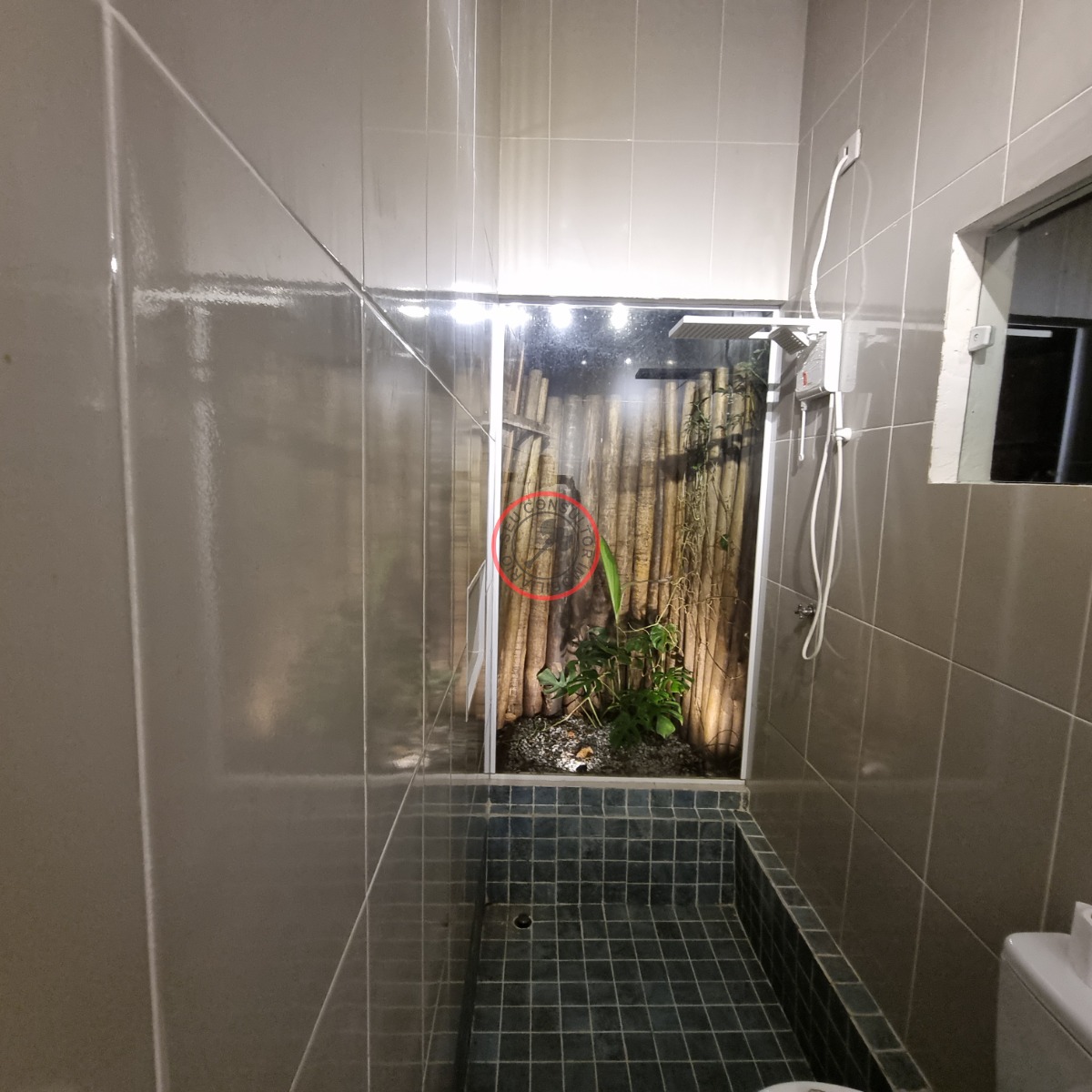 Casa, 3 quartos, 230 m² - Foto 21