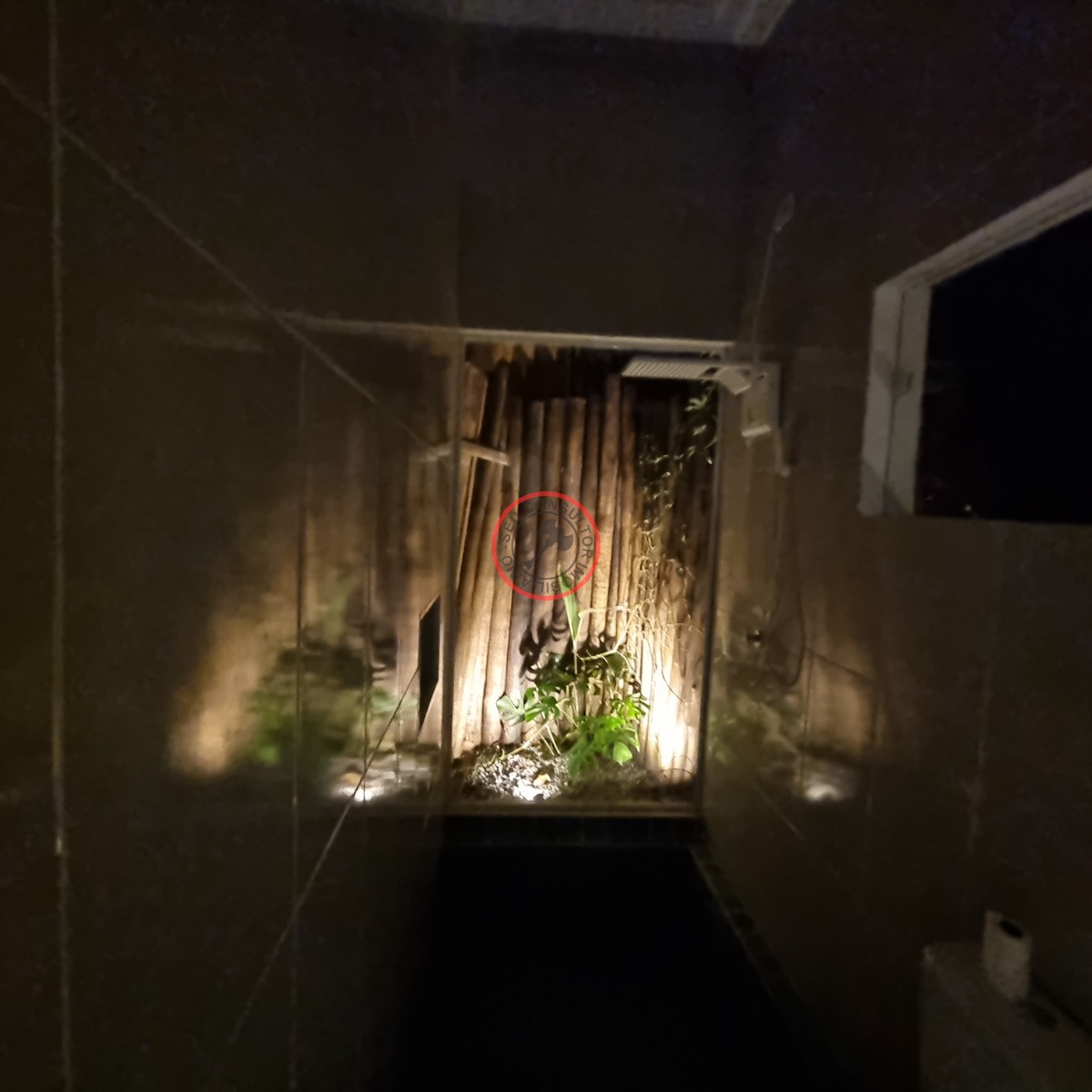 Casa, 3 quartos, 230 m² - Foto 20