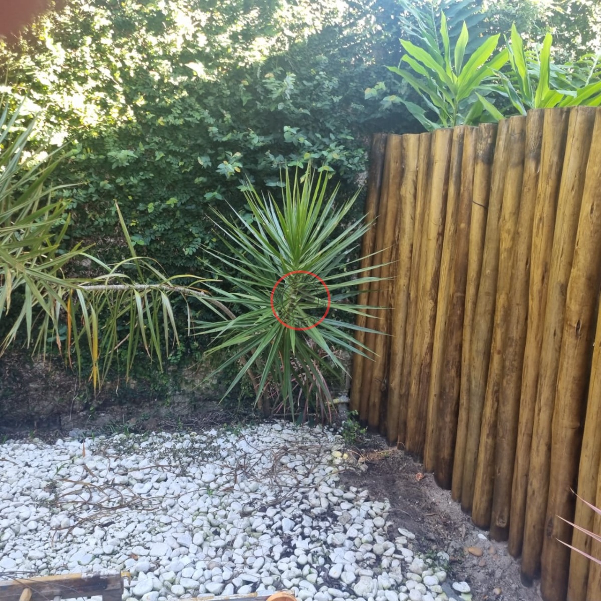 Casa, 2 quartos, 80 m² - Foto 26