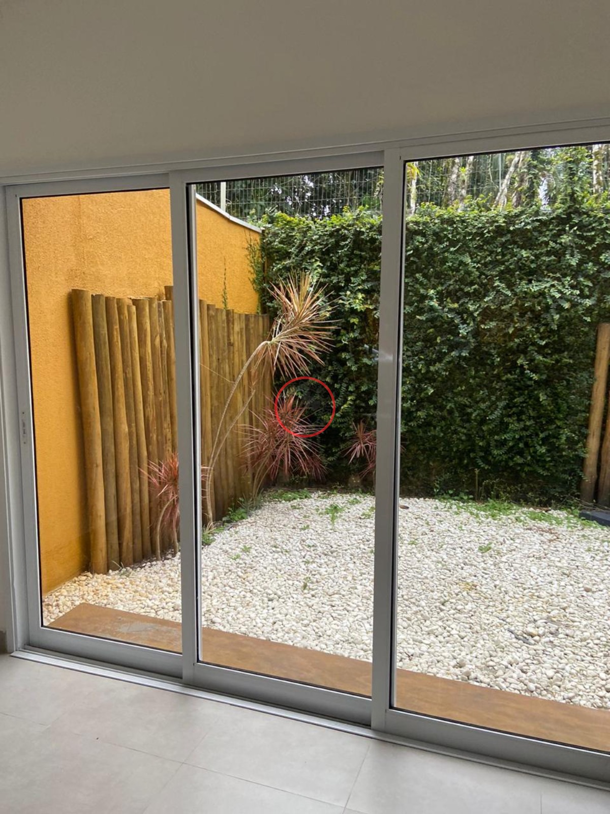 Casa, 2 quartos, 80 m² - Foto 27