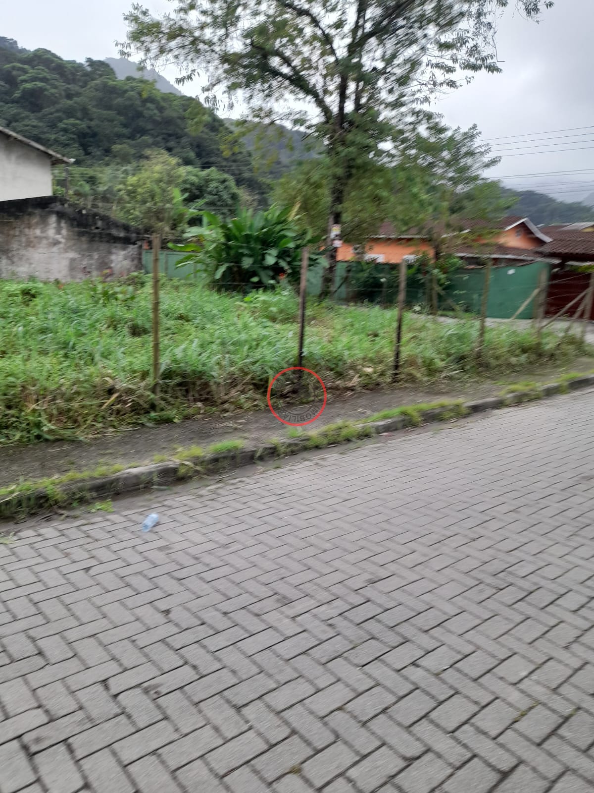 Terreno à venda, 400m² - Foto 8