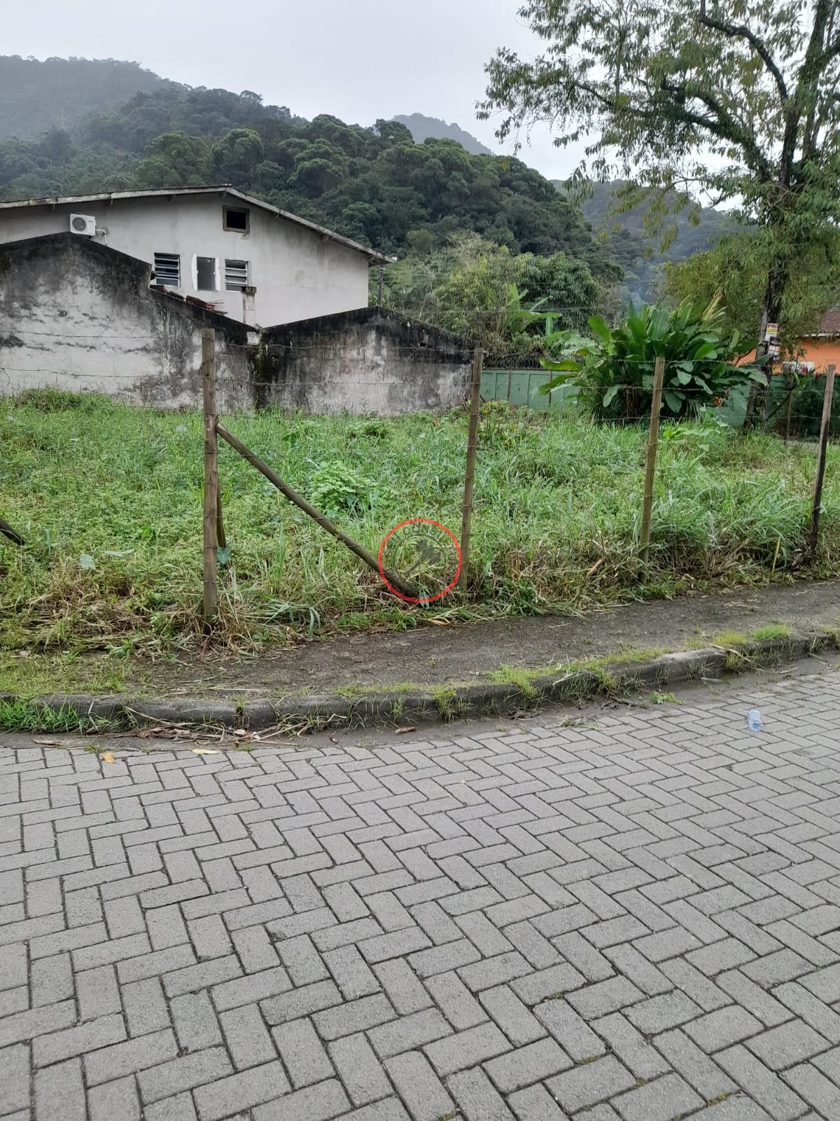 Terreno à venda, 400m² - Foto 2