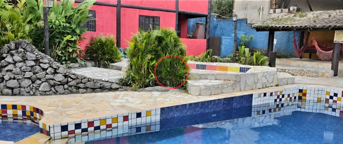 Casa, 3 quartos, 80 m² - Foto 3