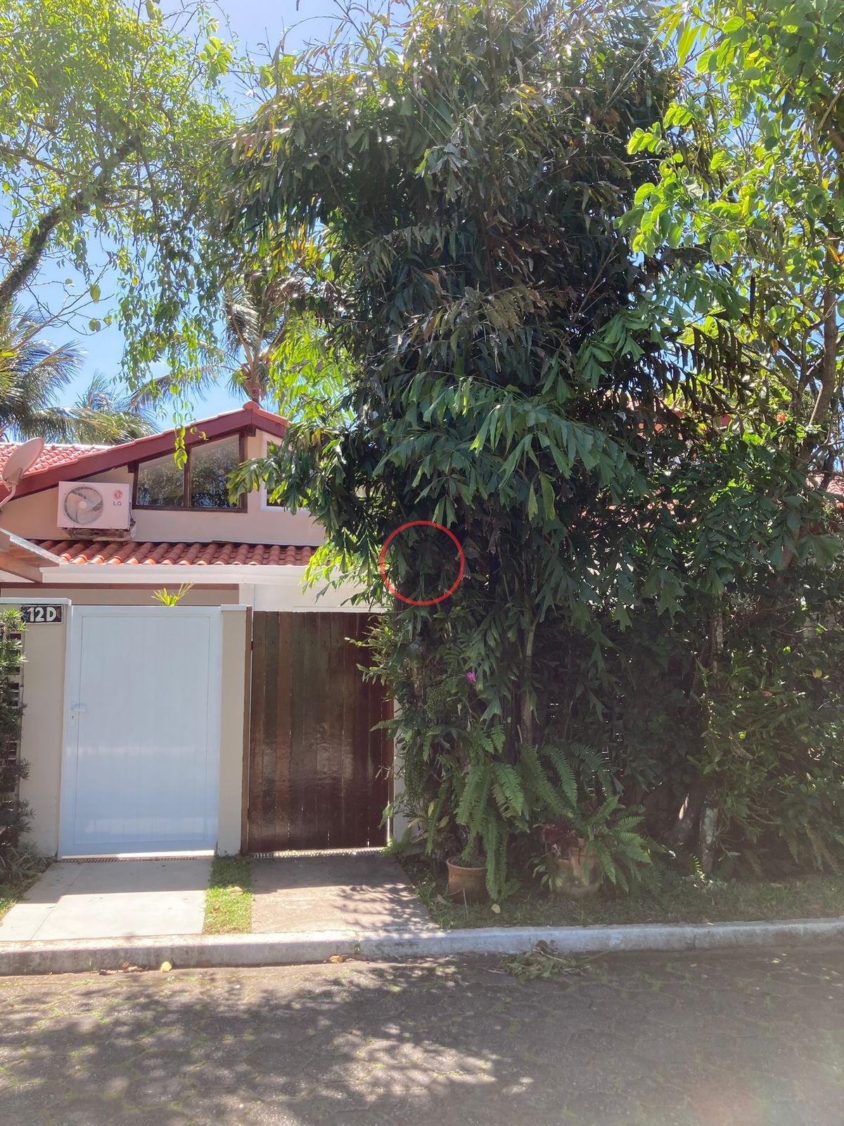 Casa, 5 quartos, 200 m² - Foto 8