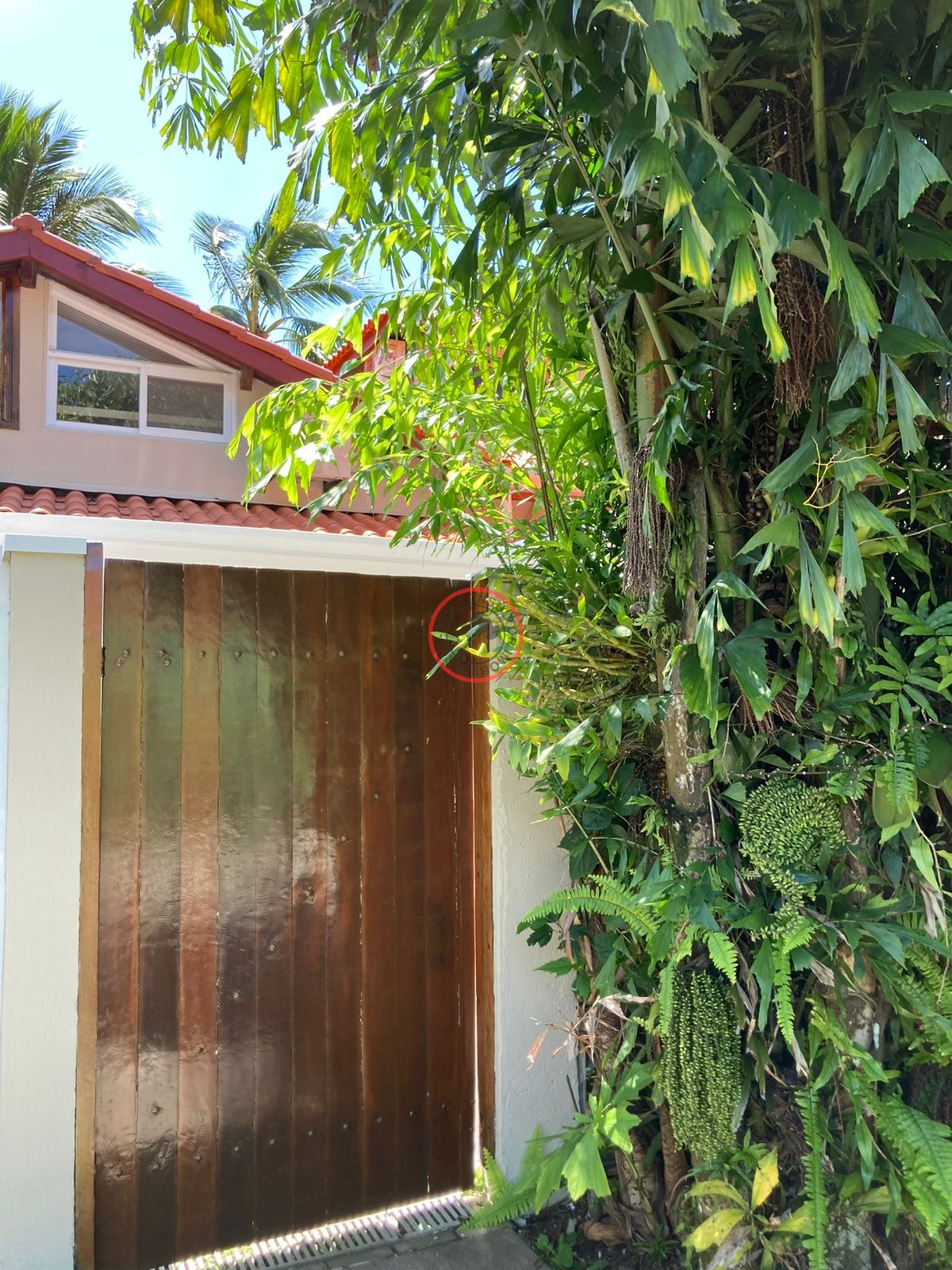 Casa, 5 quartos, 200 m² - Foto 6