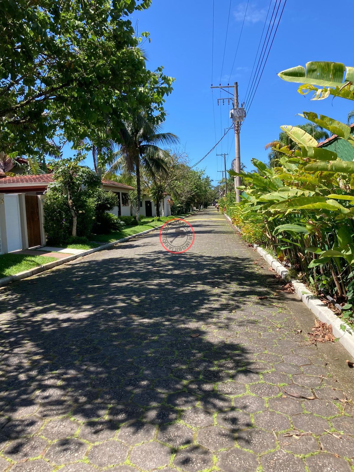 Casa, 5 quartos, 200 m² - Foto 5