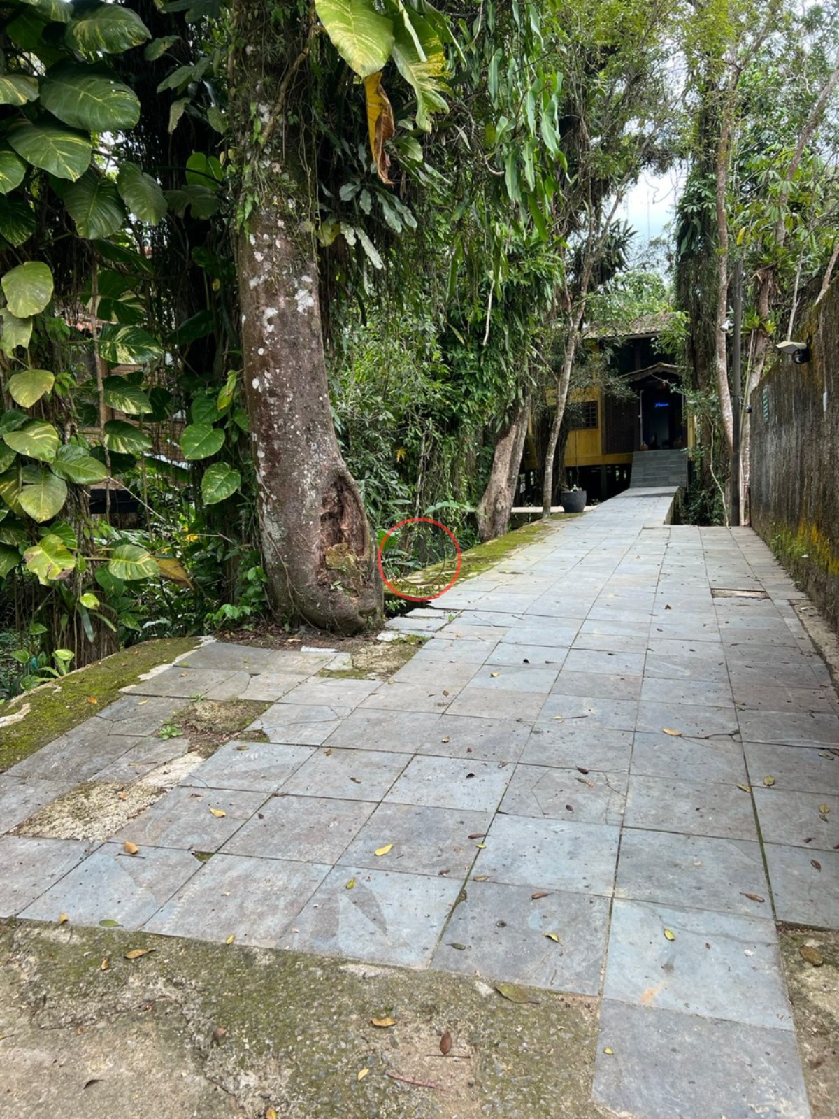 Casa, 3 quartos, 256 m² - Foto 5