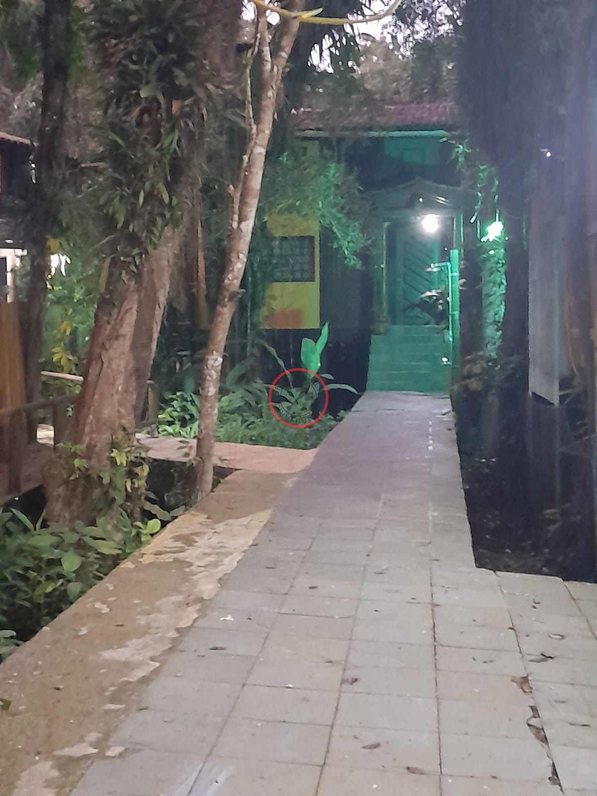 Casa, 3 quartos, 256 m² - Foto 2